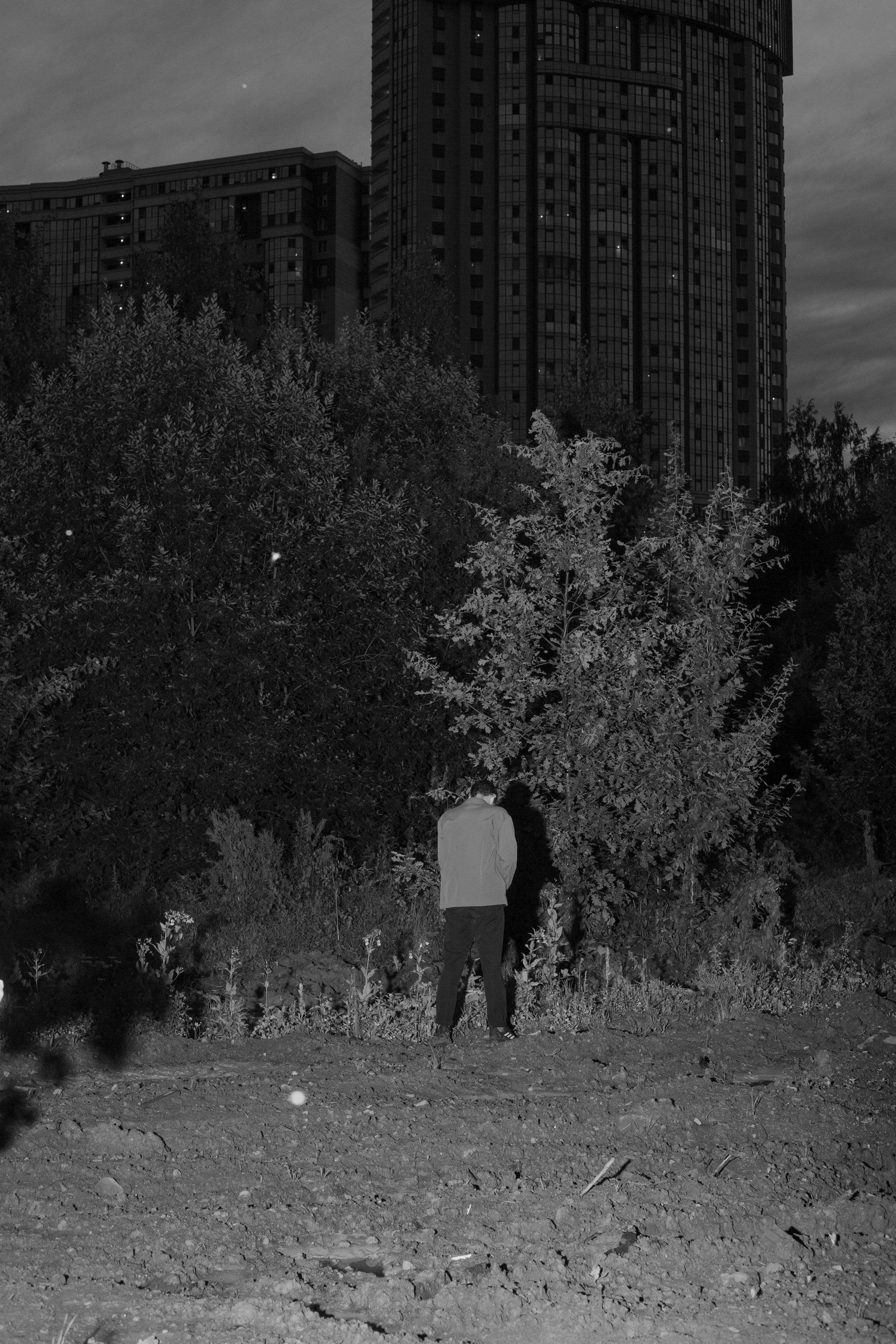 Fruits still falls from apple trees. Kristina Sergeeva