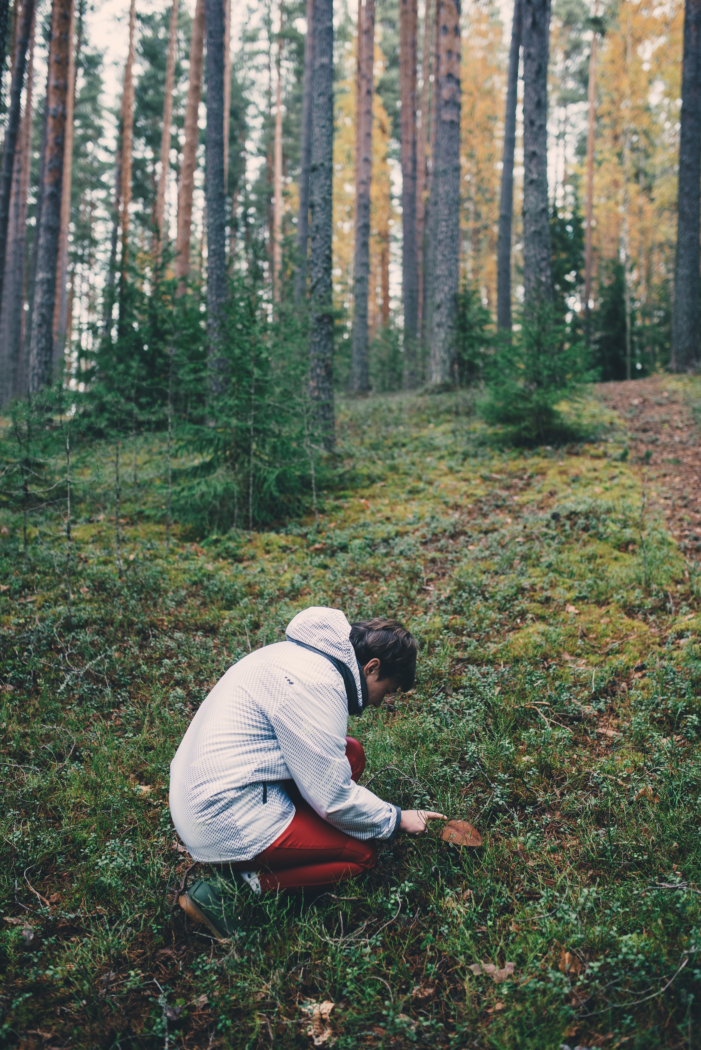 Deep forest. Фотограф Денис Неместо, портрет, репортаж