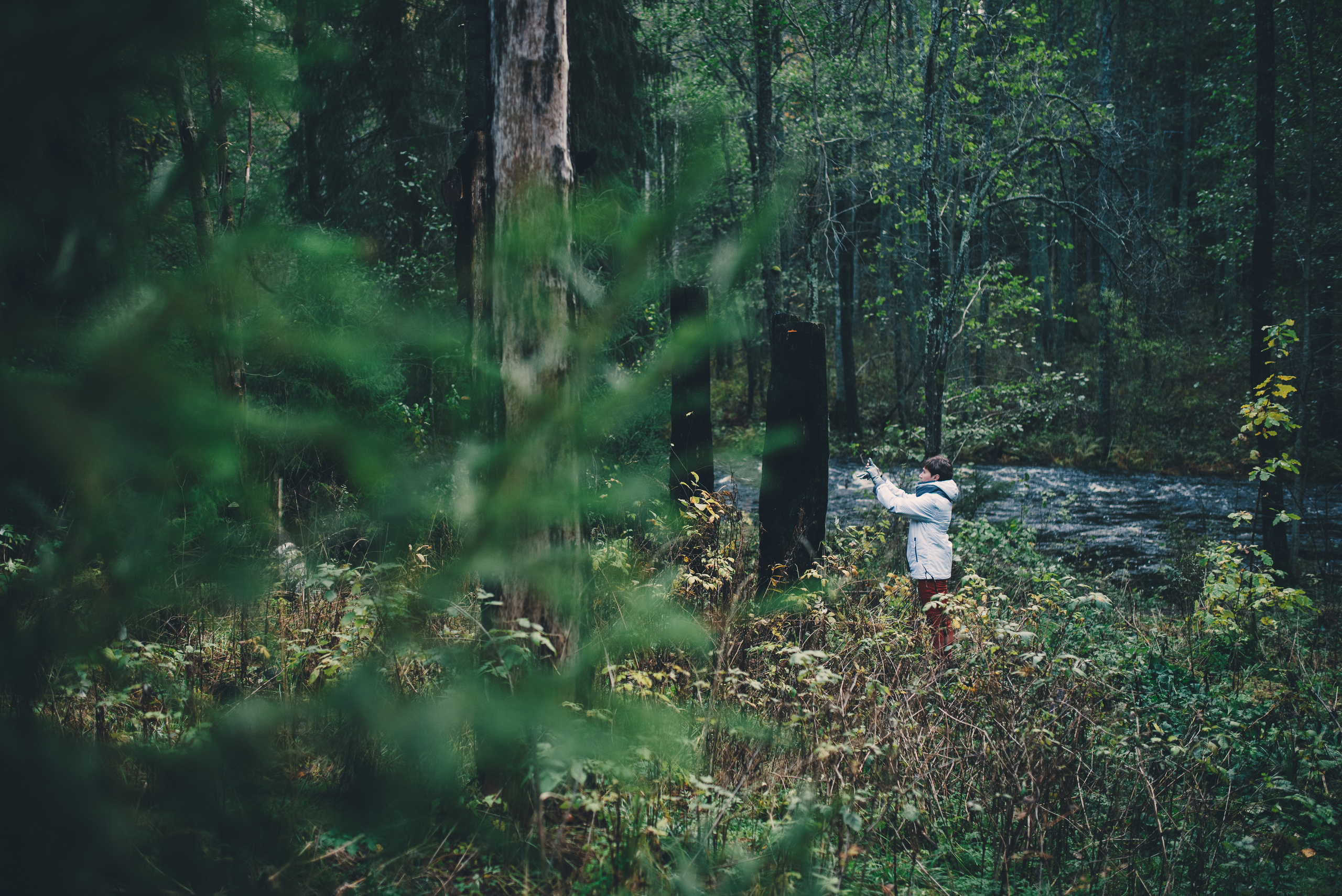 Deep forest. Фотограф Денис Неместо, портрет, репортаж
