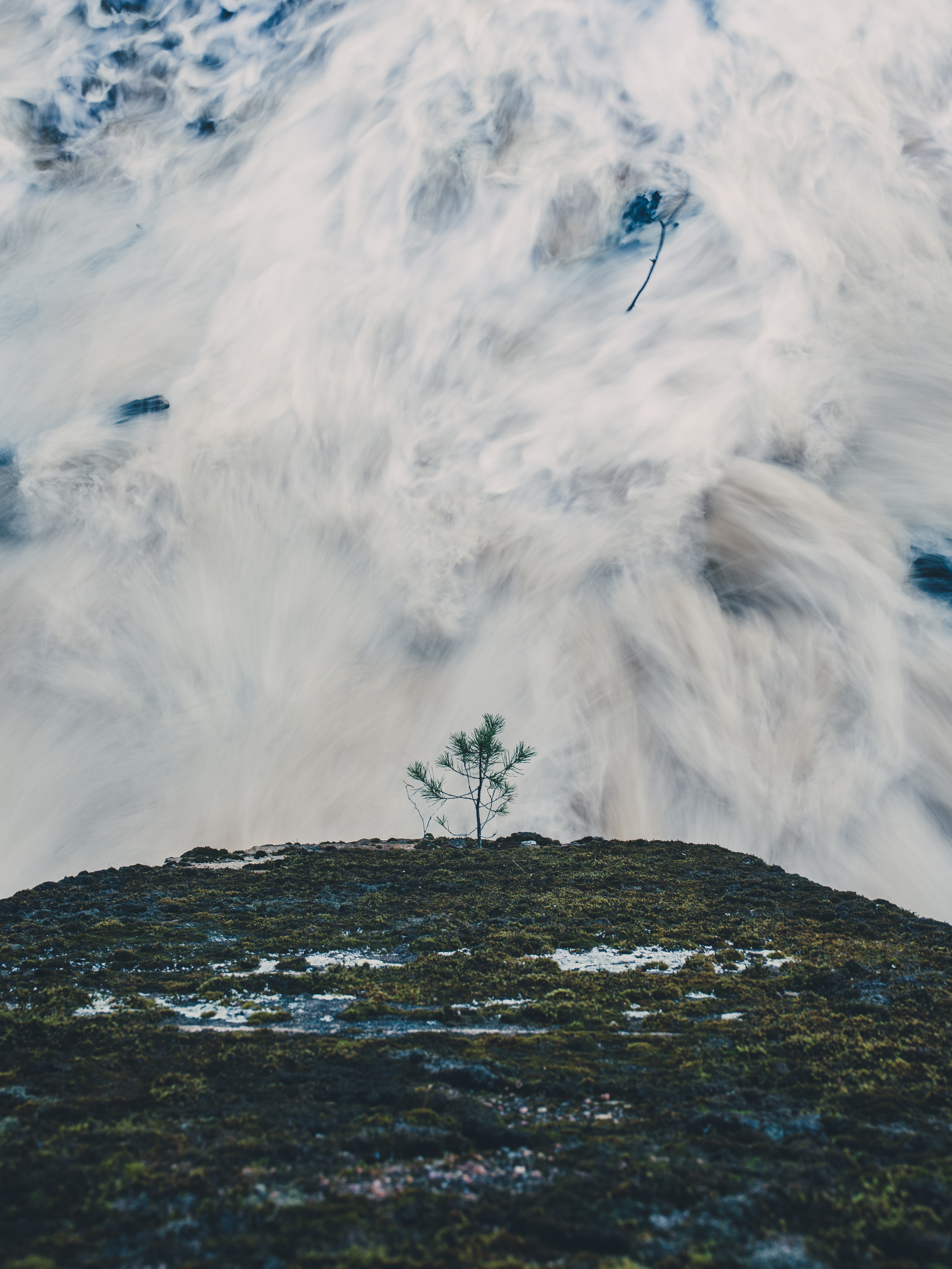 Deep forest. Фотограф Денис Неместо, портрет, репортаж