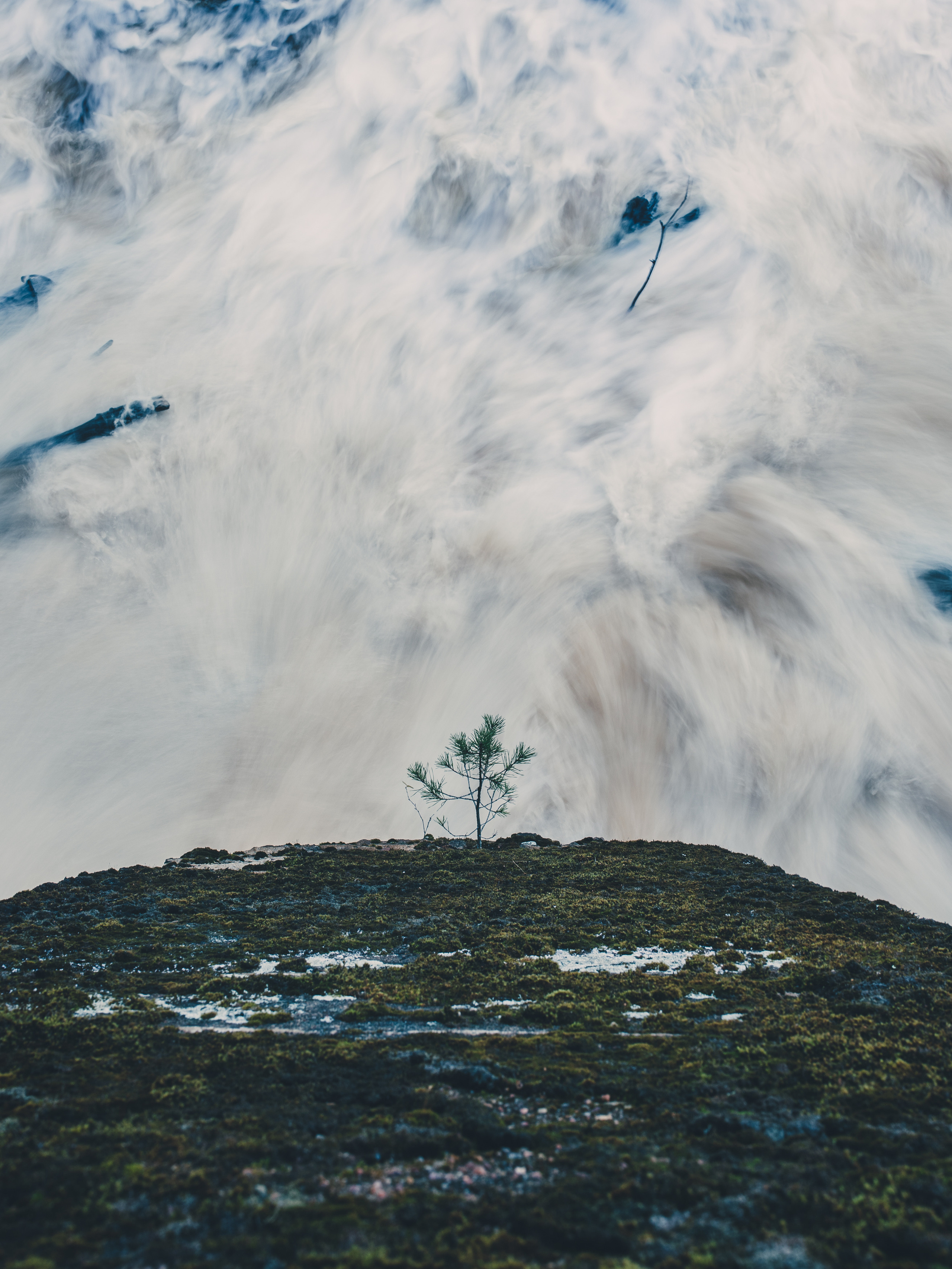 Deep forest. Фотограф Денис Неместо, портрет, репортаж