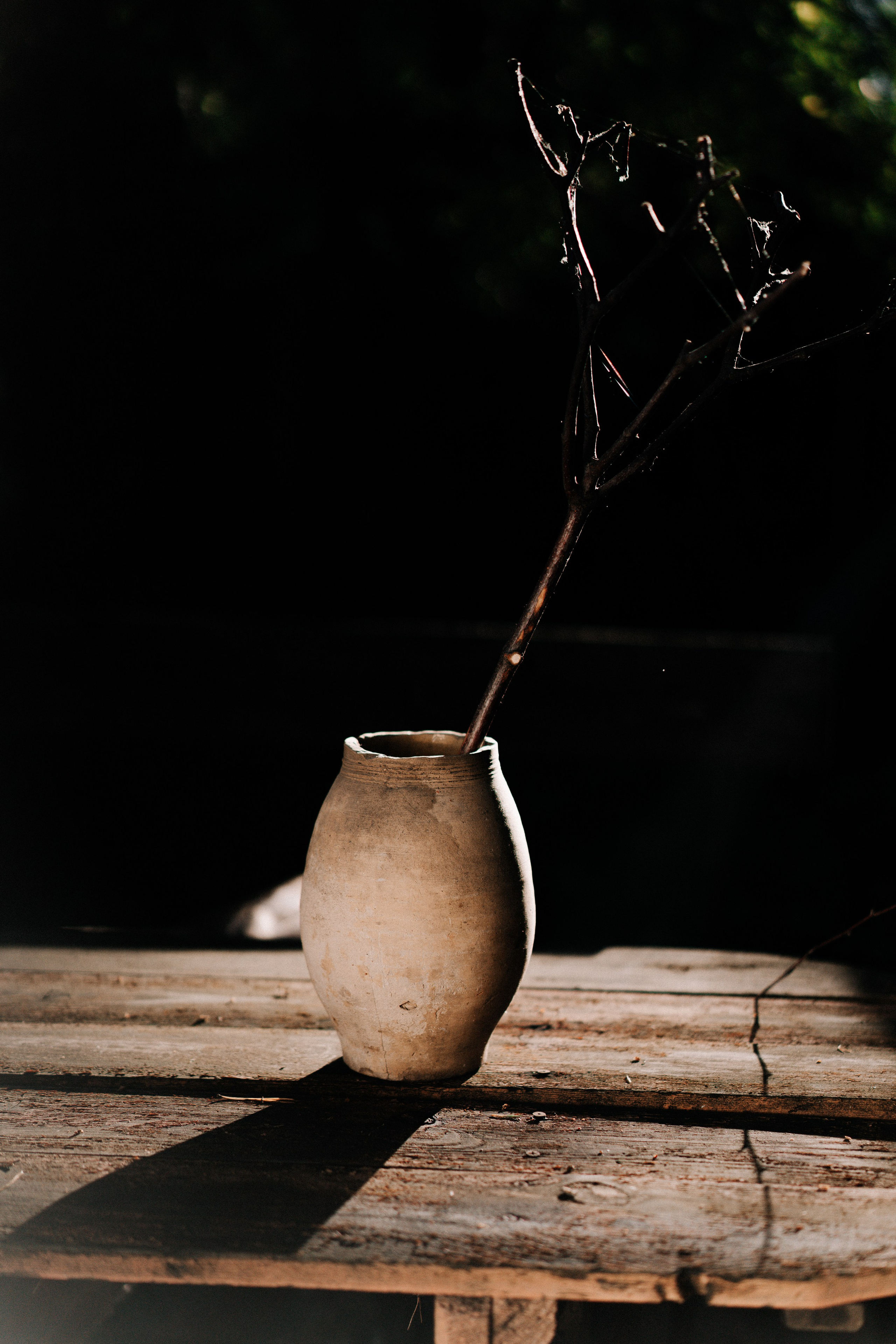 Истории. Видеооператор, фотограф в Санкт-Петербурге
