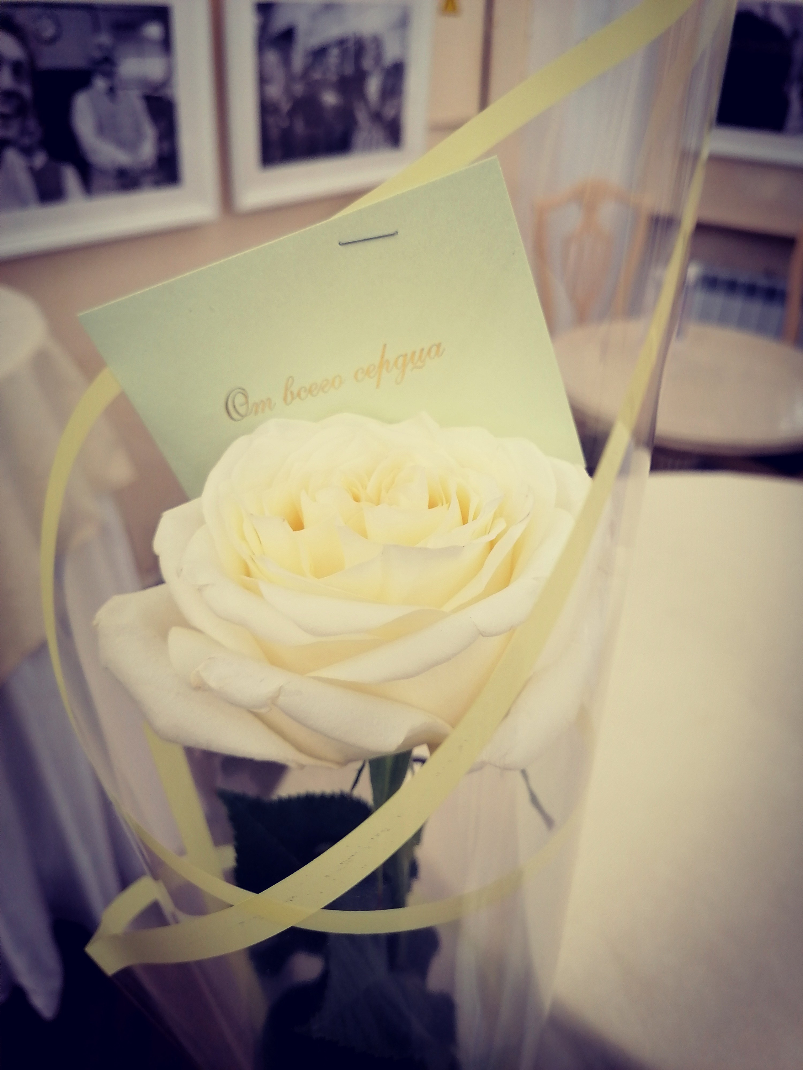 Обо мне. Денис Хрюкин, режиссёр, продюсер, контентмейкер, Санкт-Петербург, Москва