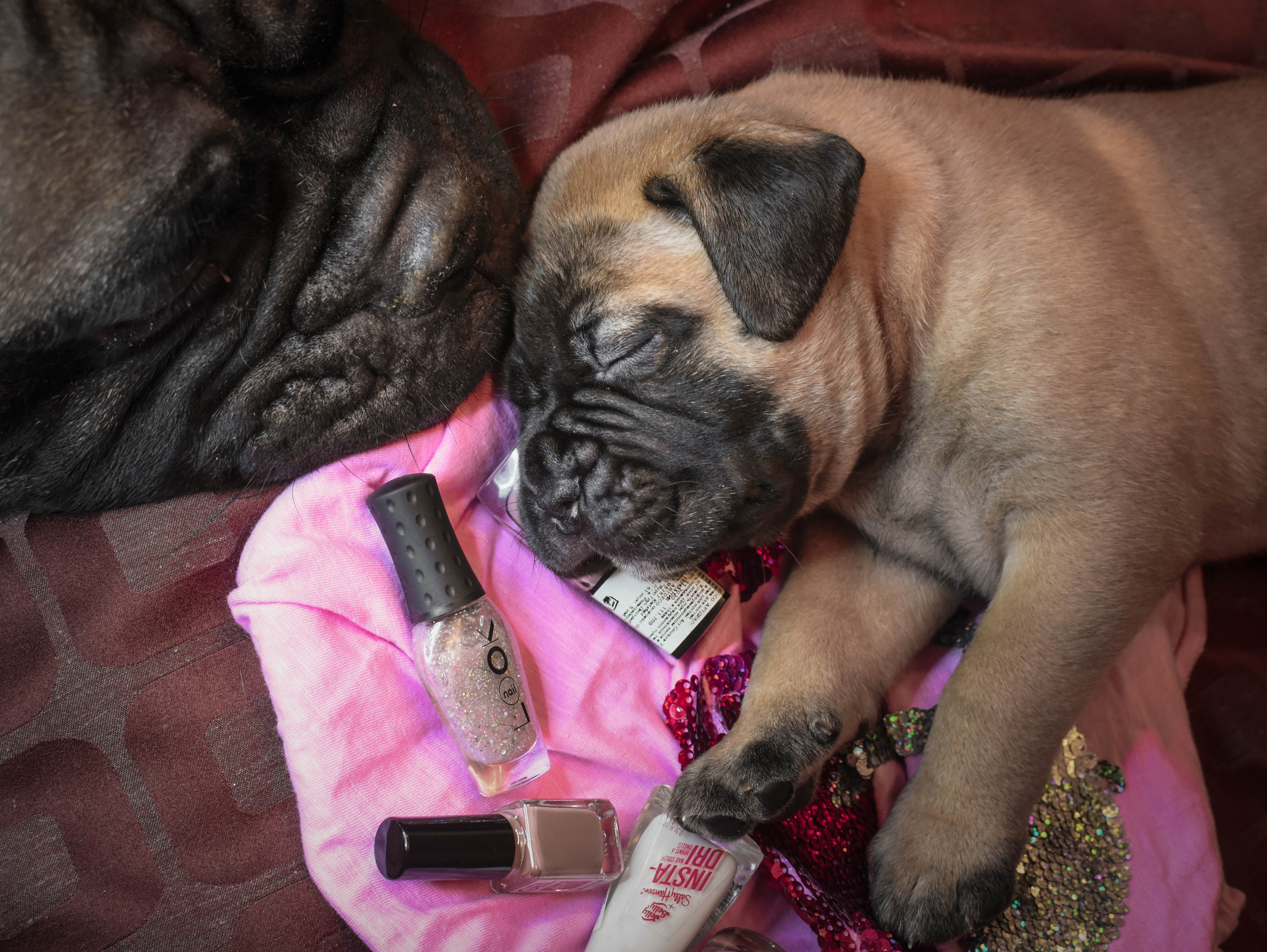 В созвучии с природой. Фотограф Светлана В. Пронина, Москва