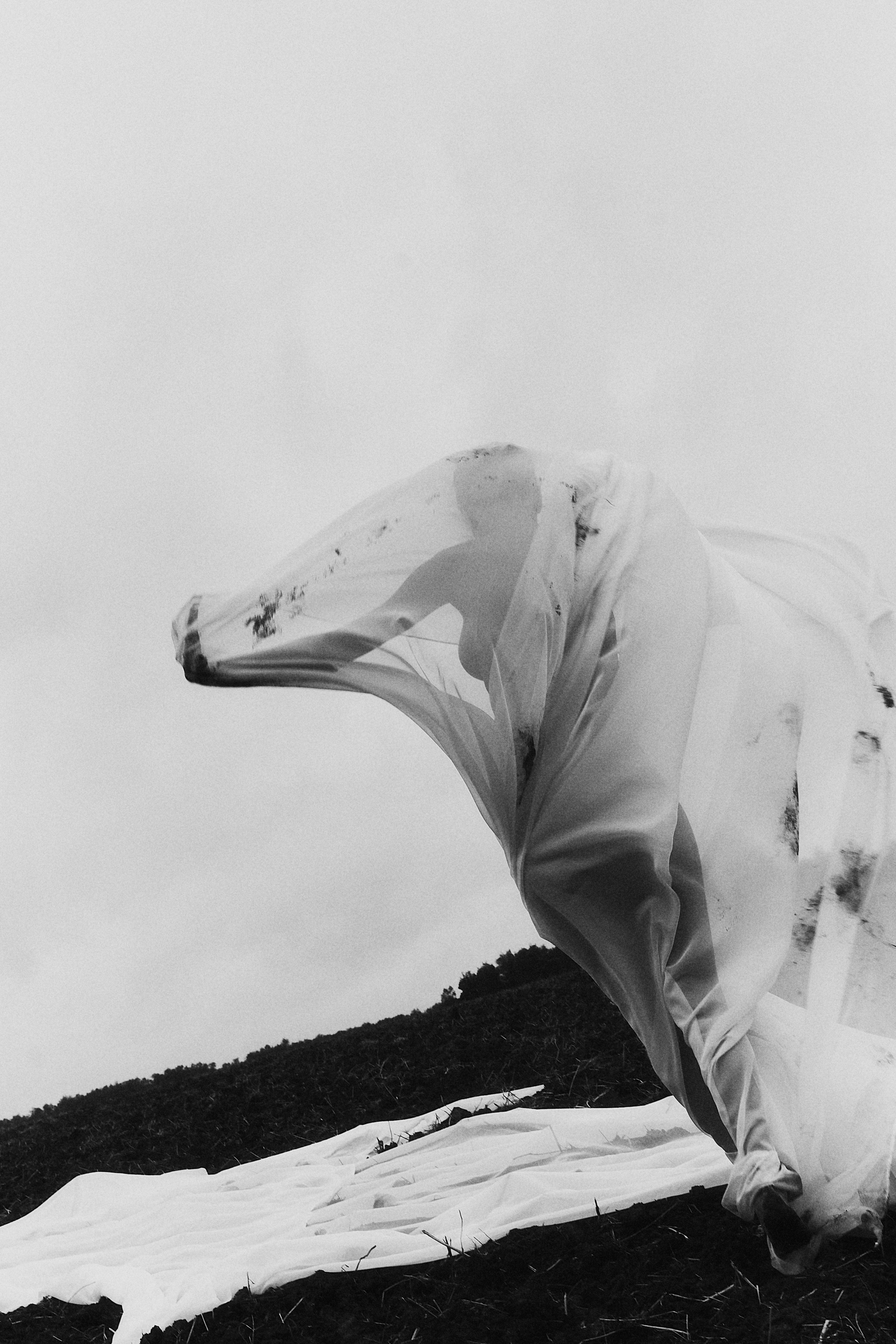 Виолетта и Александр. Свадебный и семейный фотограф в Иваново и Москве Мильков Вадим