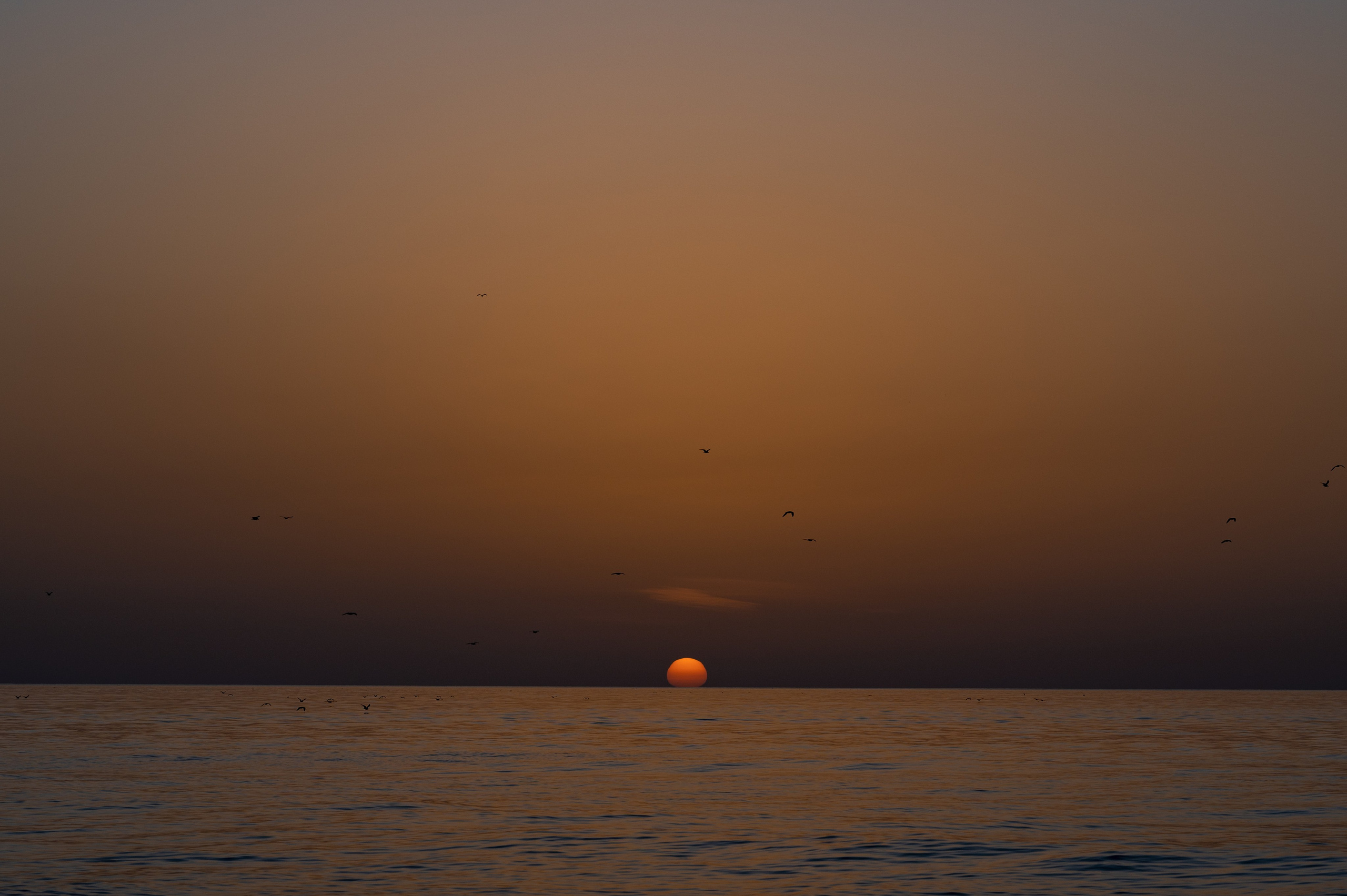 Photographer Yulia Lushnikova, Based in Valencia