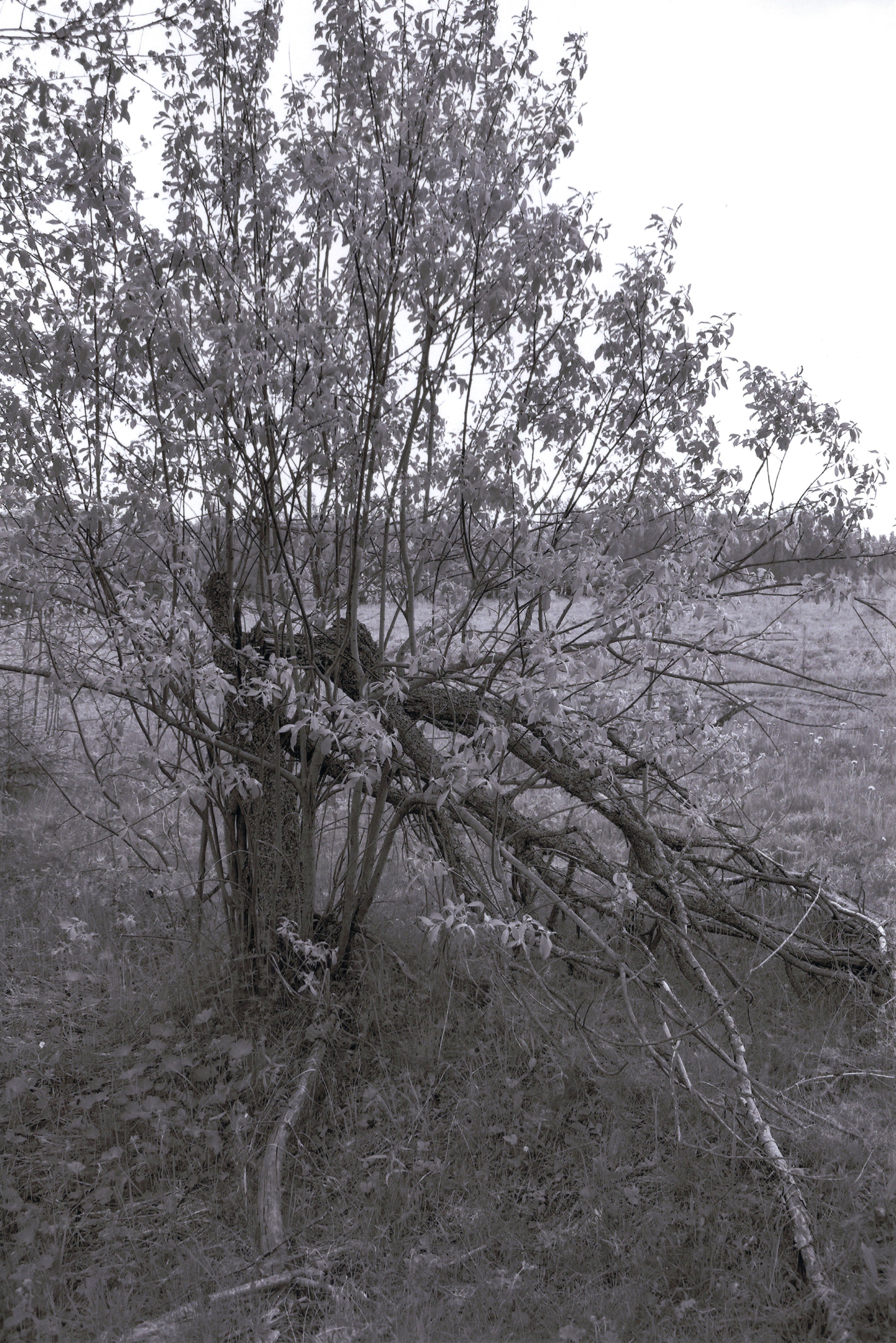 По ту сторону. Главная