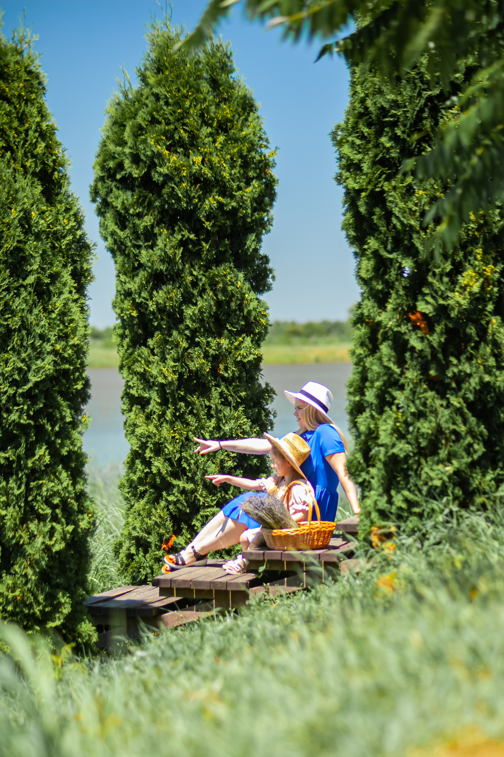 Потрясающая лаванда. Свадебный и семейный фотограф в Армавире