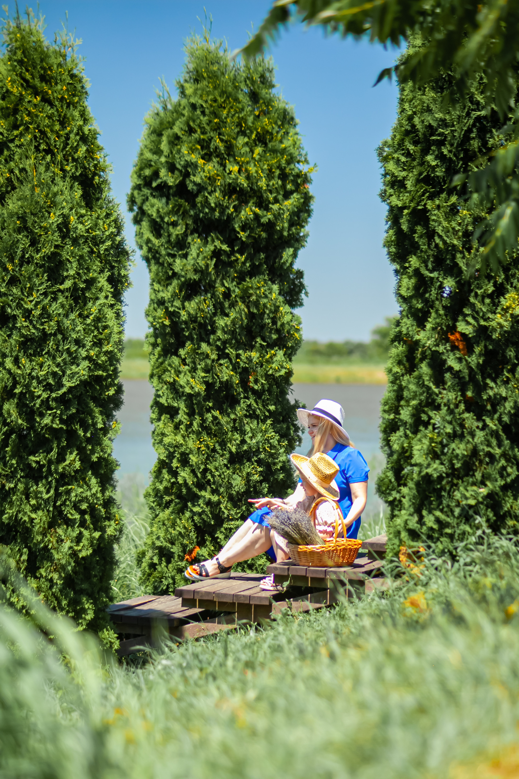 Потрясающая лаванда. Свадебный и семейный фотограф в Армавире