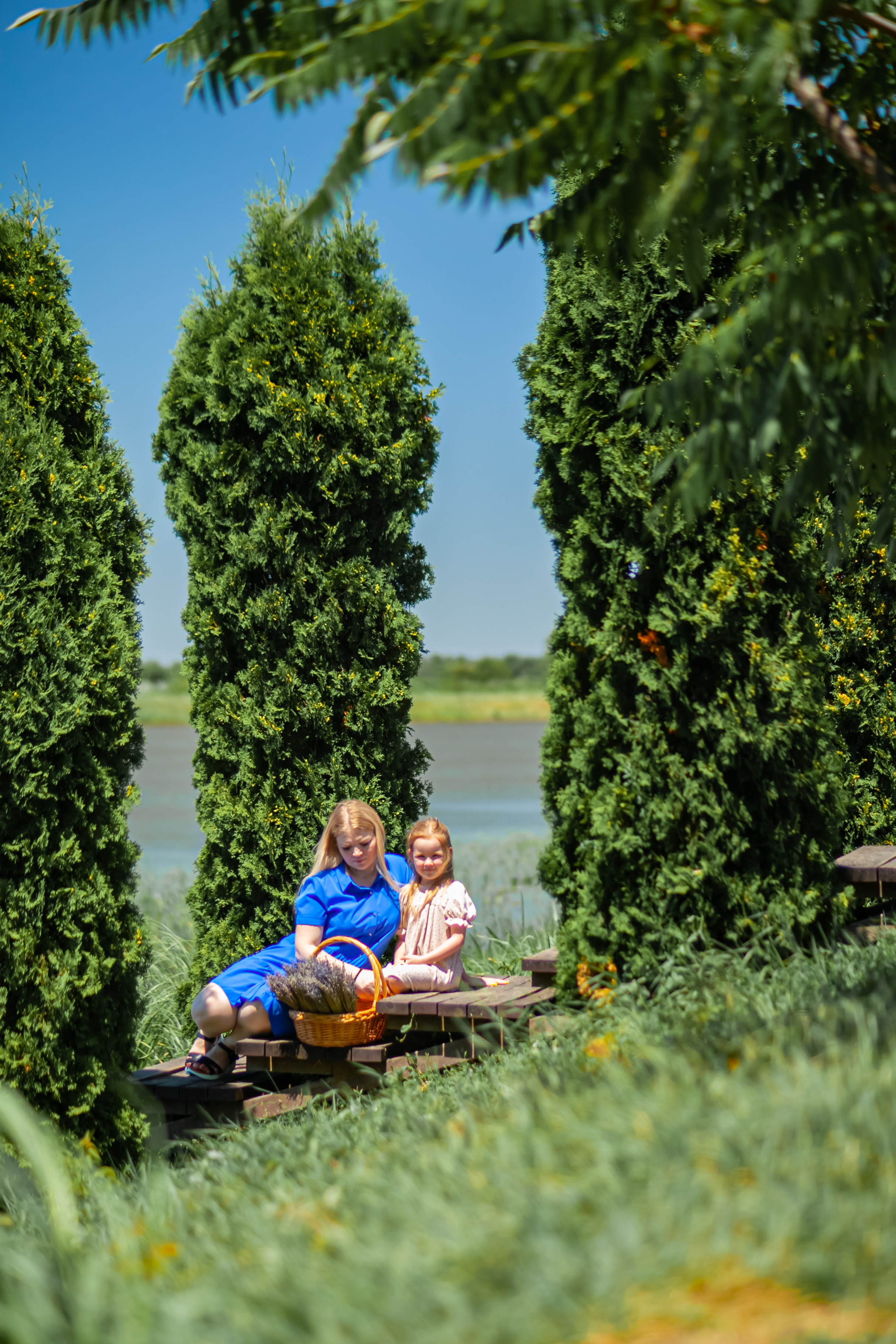 Потрясающая лаванда. Свадебный и семейный фотограф в Армавире