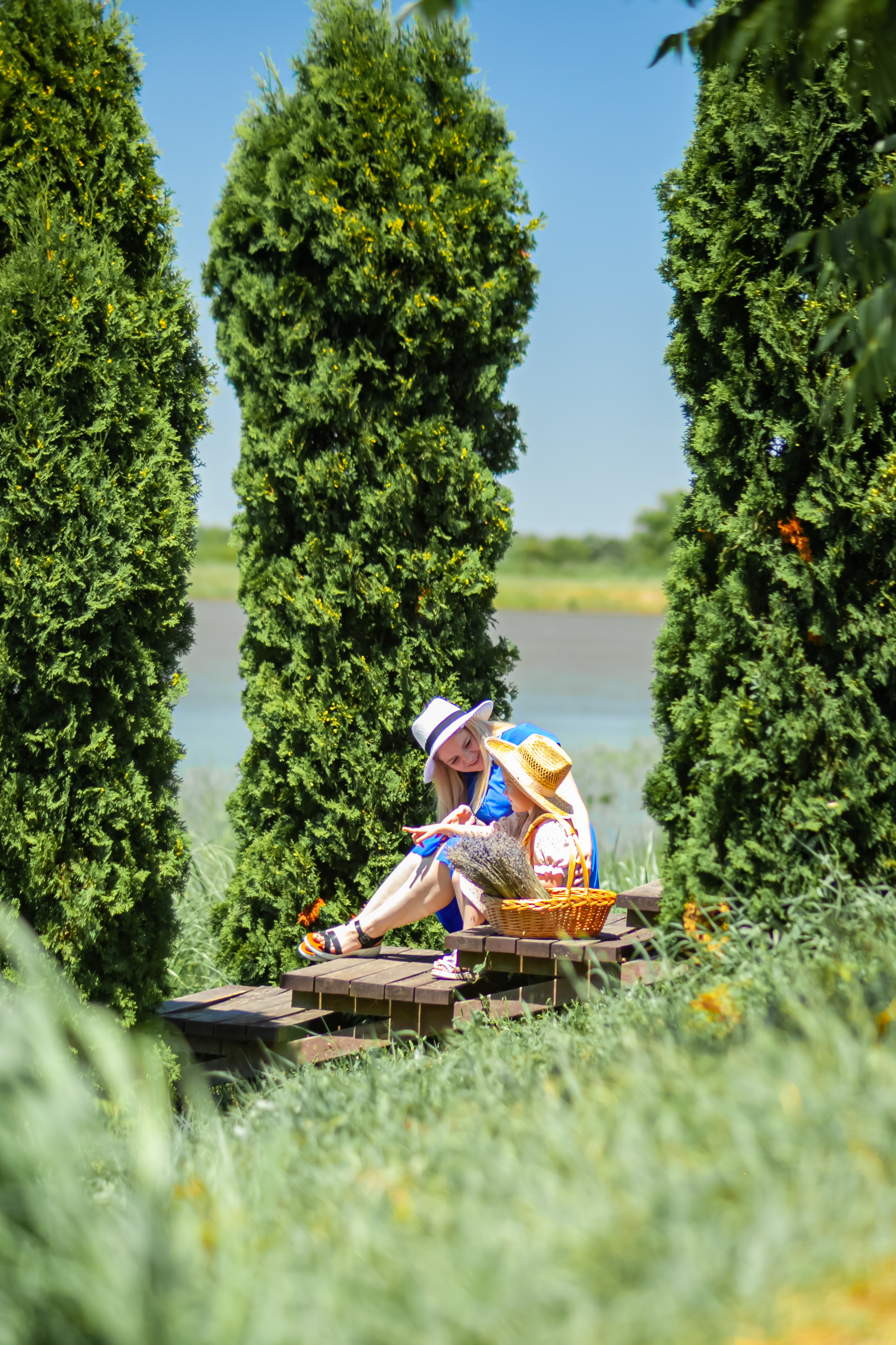 Потрясающая лаванда. Свадебный и семейный фотограф в Армавире
