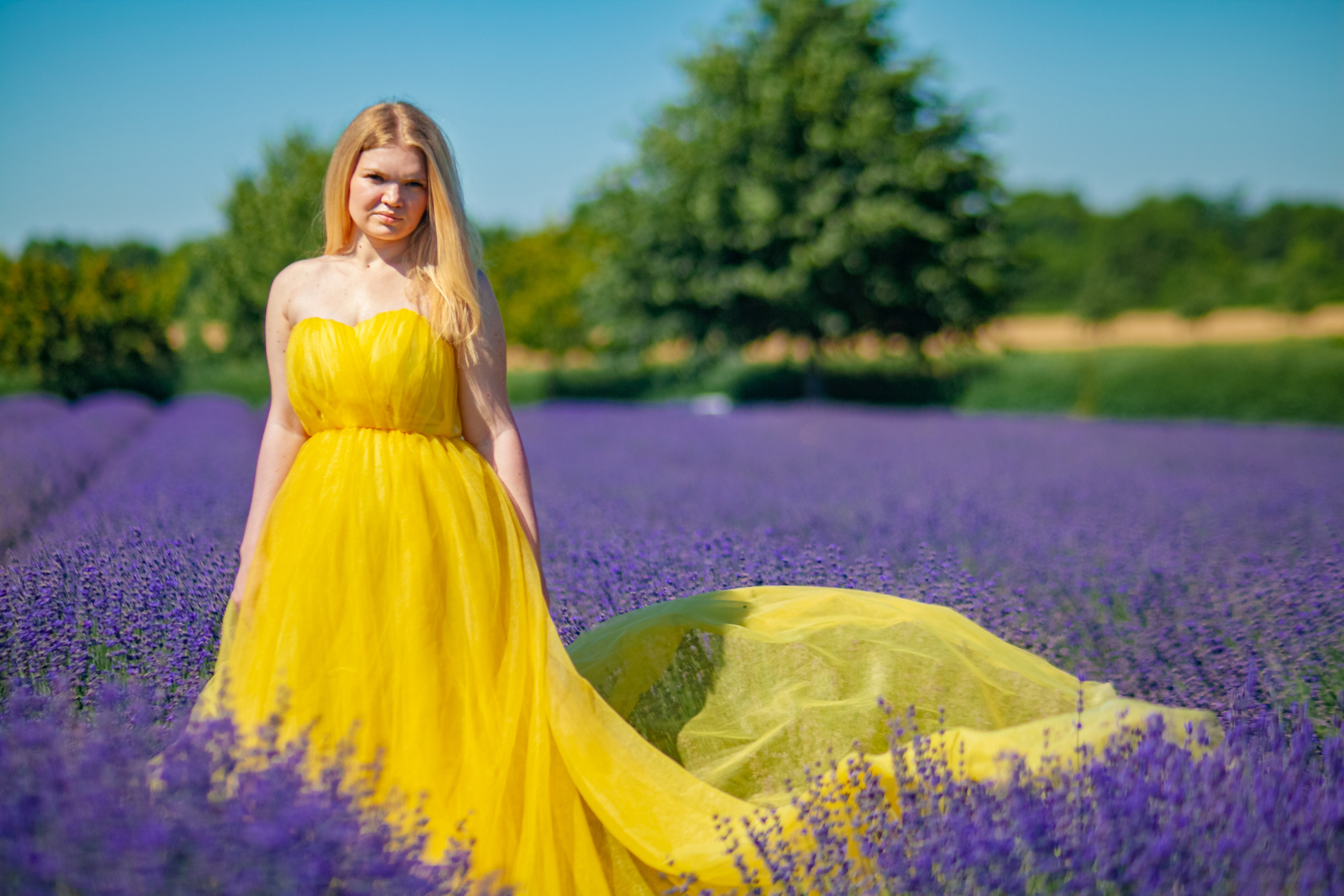 Потрясающая лаванда. Свадебный и семейный фотограф в Армавире