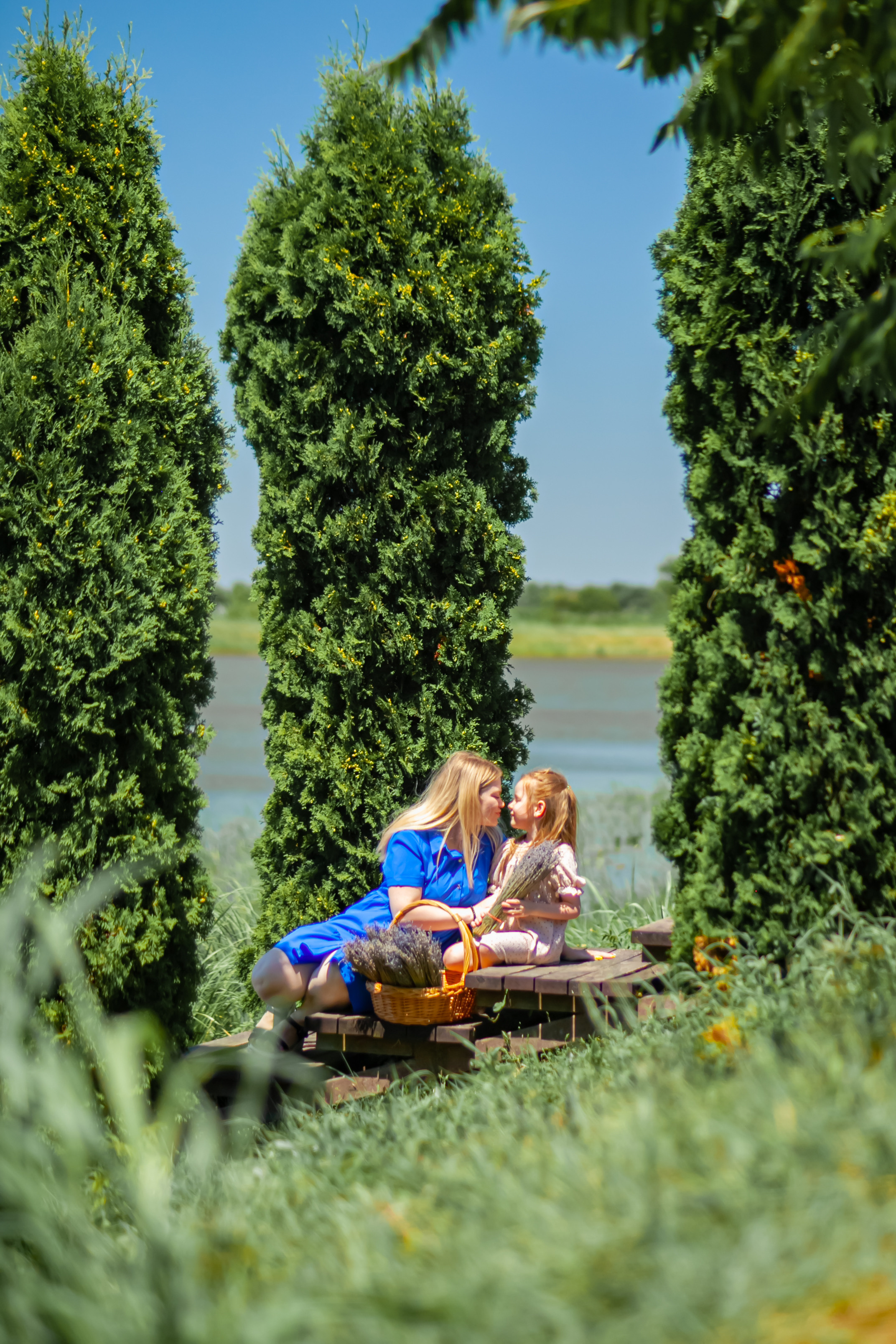 Потрясающая лаванда. Свадебный и семейный фотограф в Армавире