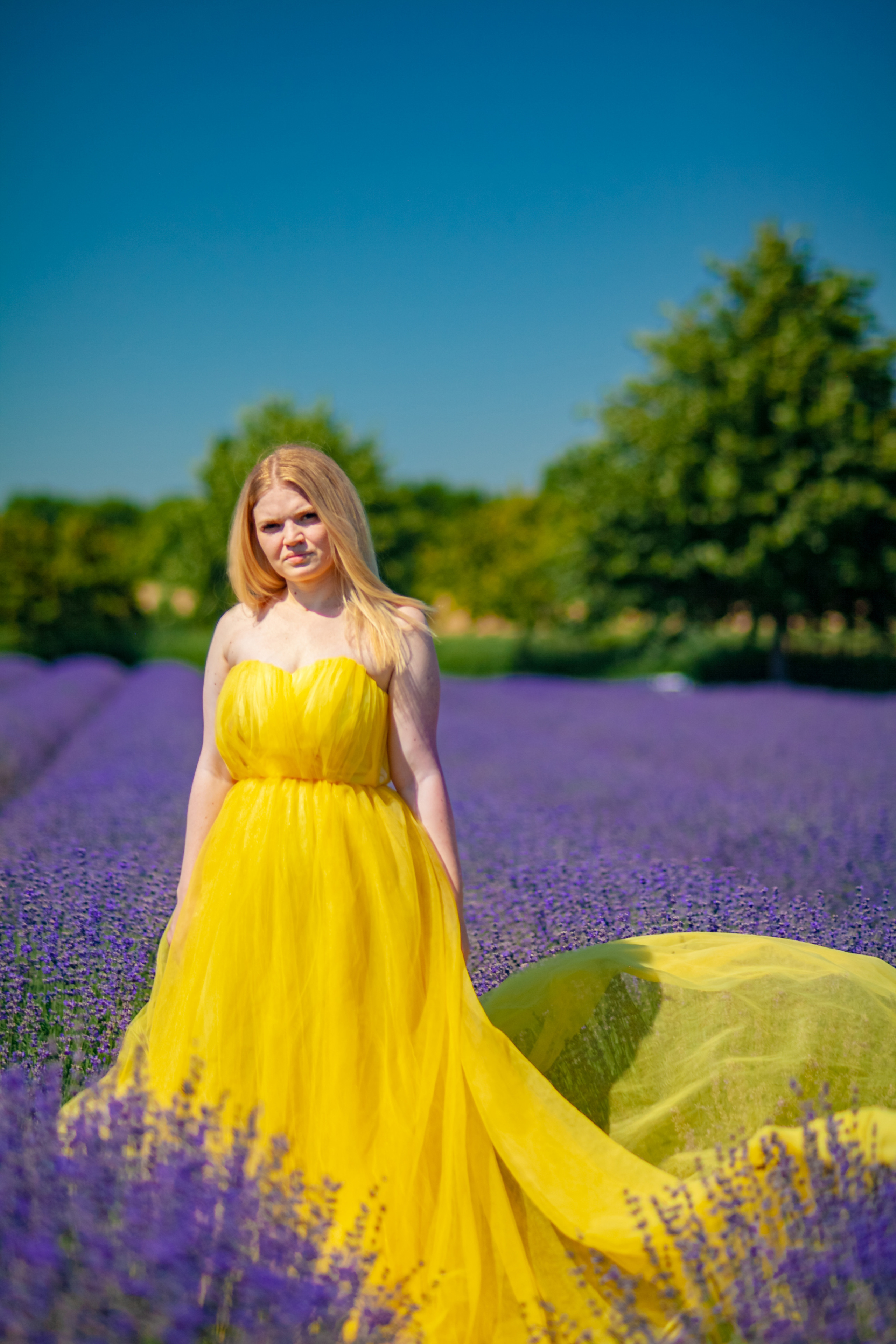 Потрясающая лаванда. Свадебный и семейный фотограф в Армавире