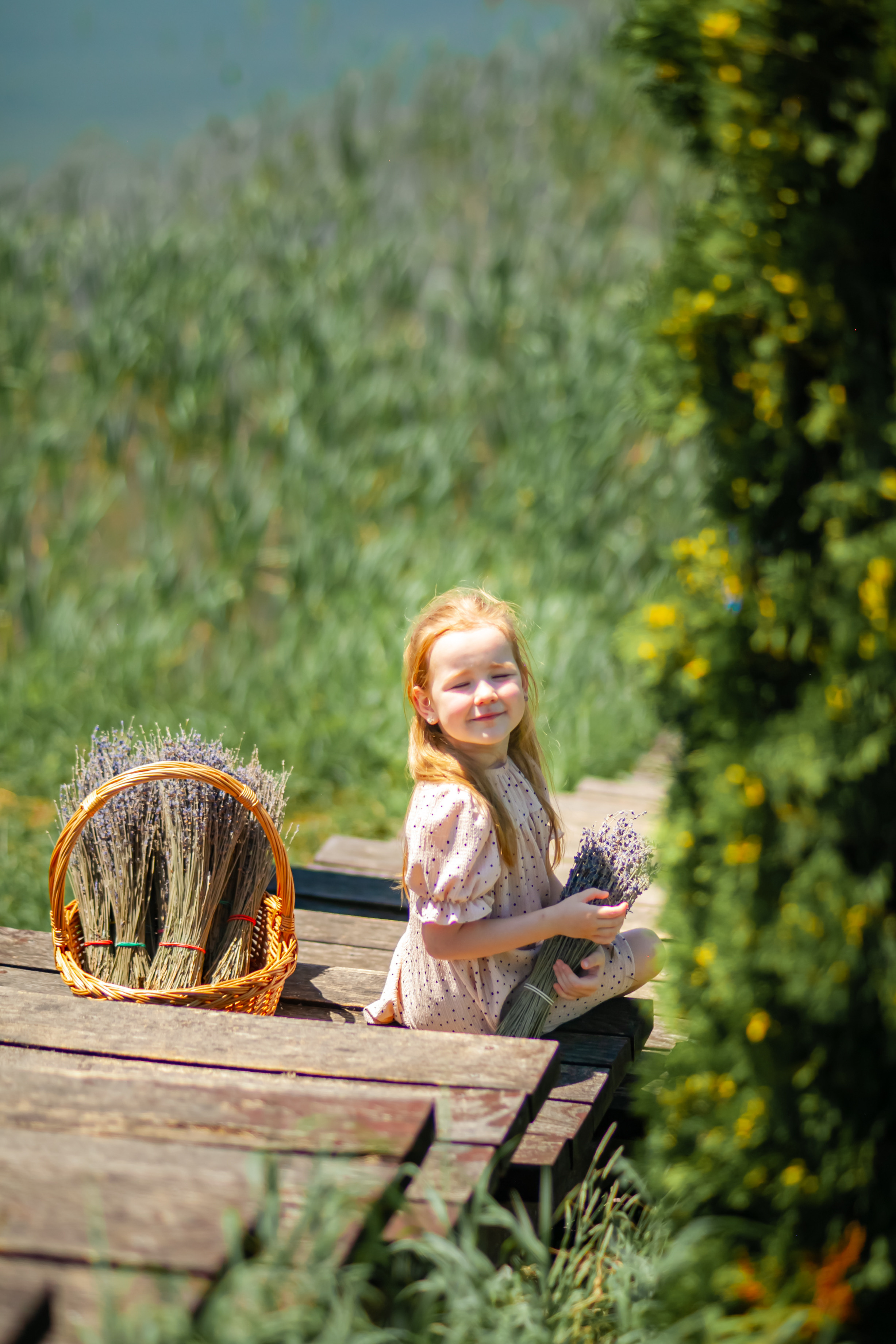 Потрясающая лаванда. Свадебный и семейный фотограф в Армавире