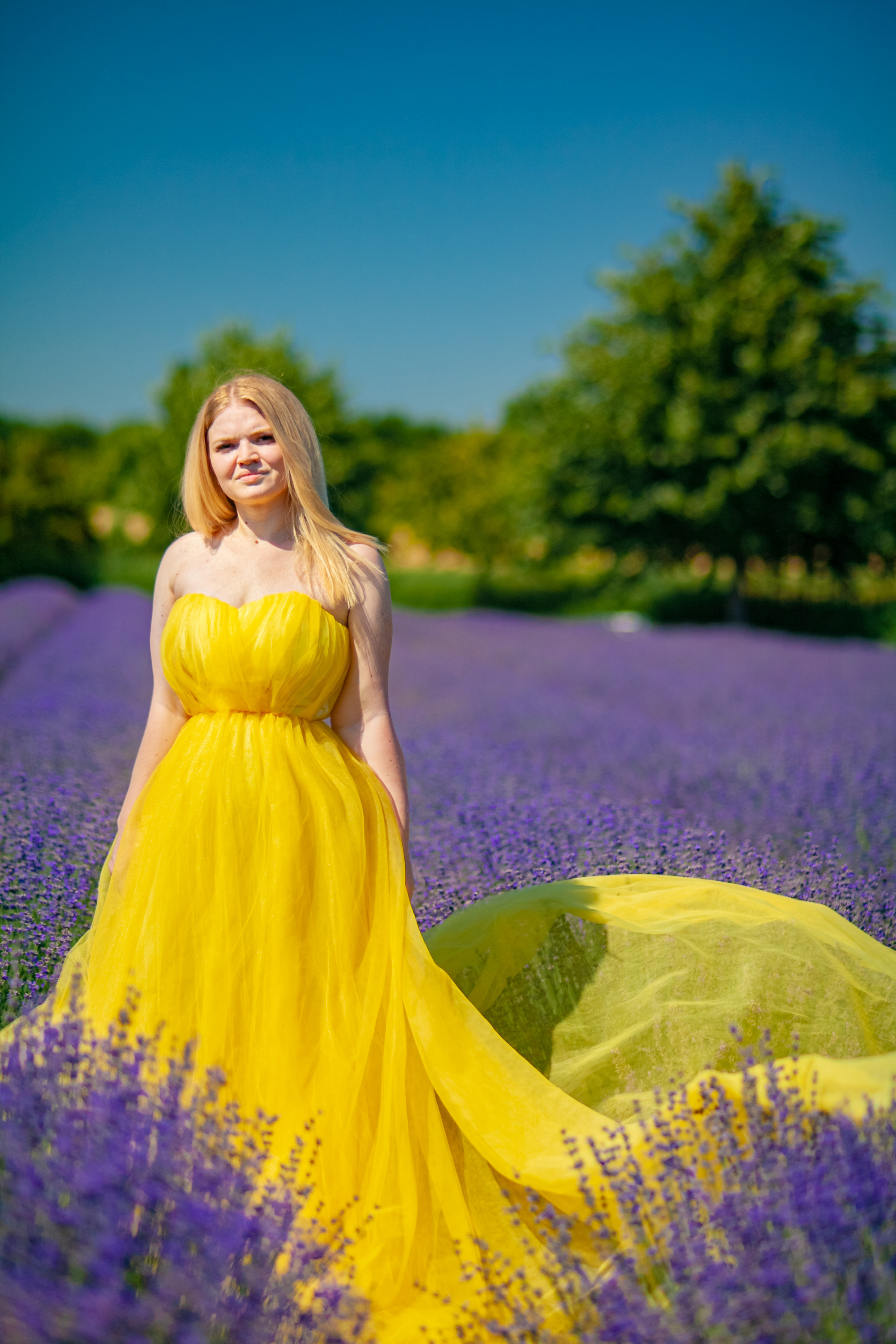 Потрясающая лаванда. Свадебный и семейный фотограф в Армавире