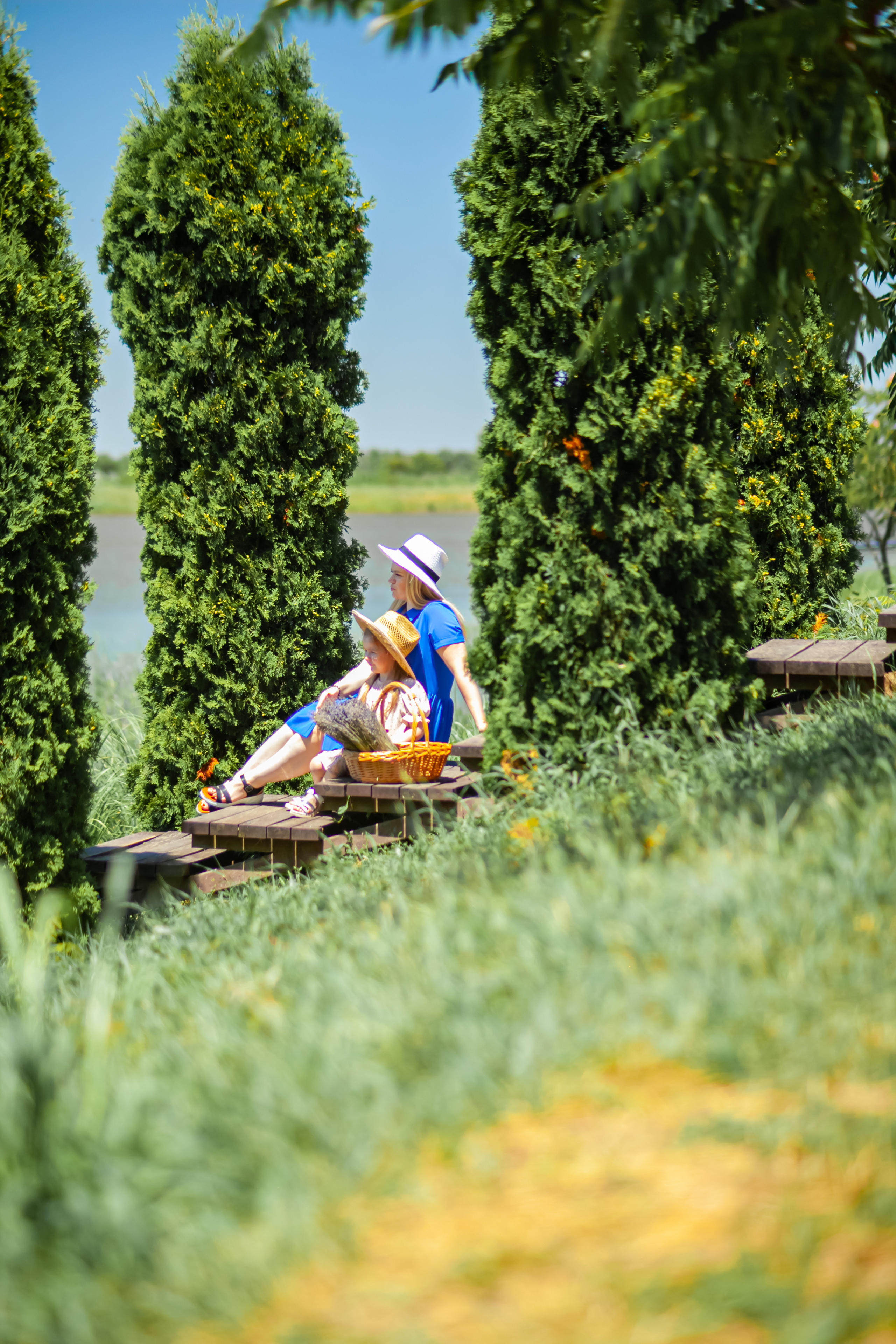 Потрясающая лаванда. Свадебный и семейный фотограф в Армавире