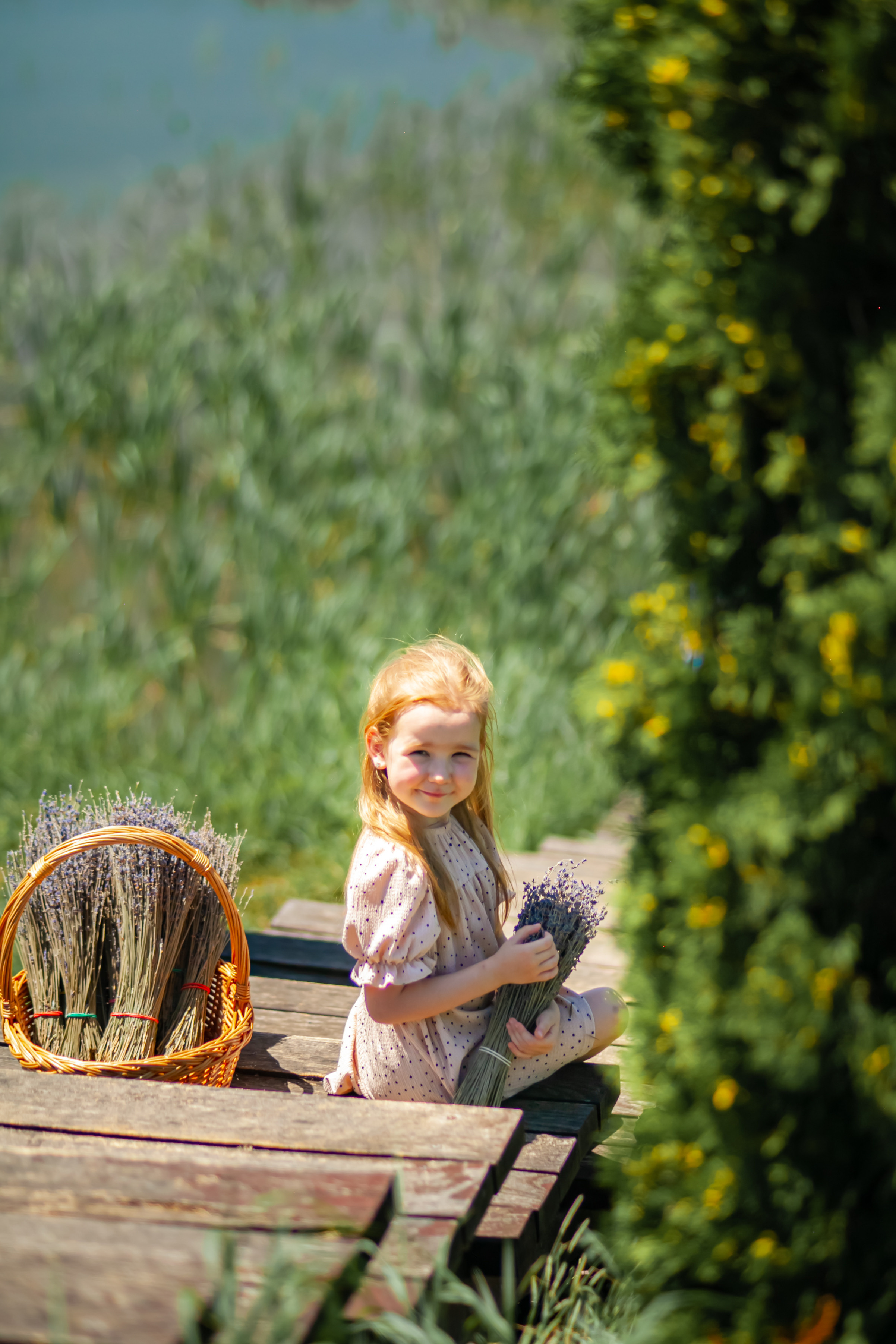 Потрясающая лаванда. Свадебный и семейный фотограф в Армавире