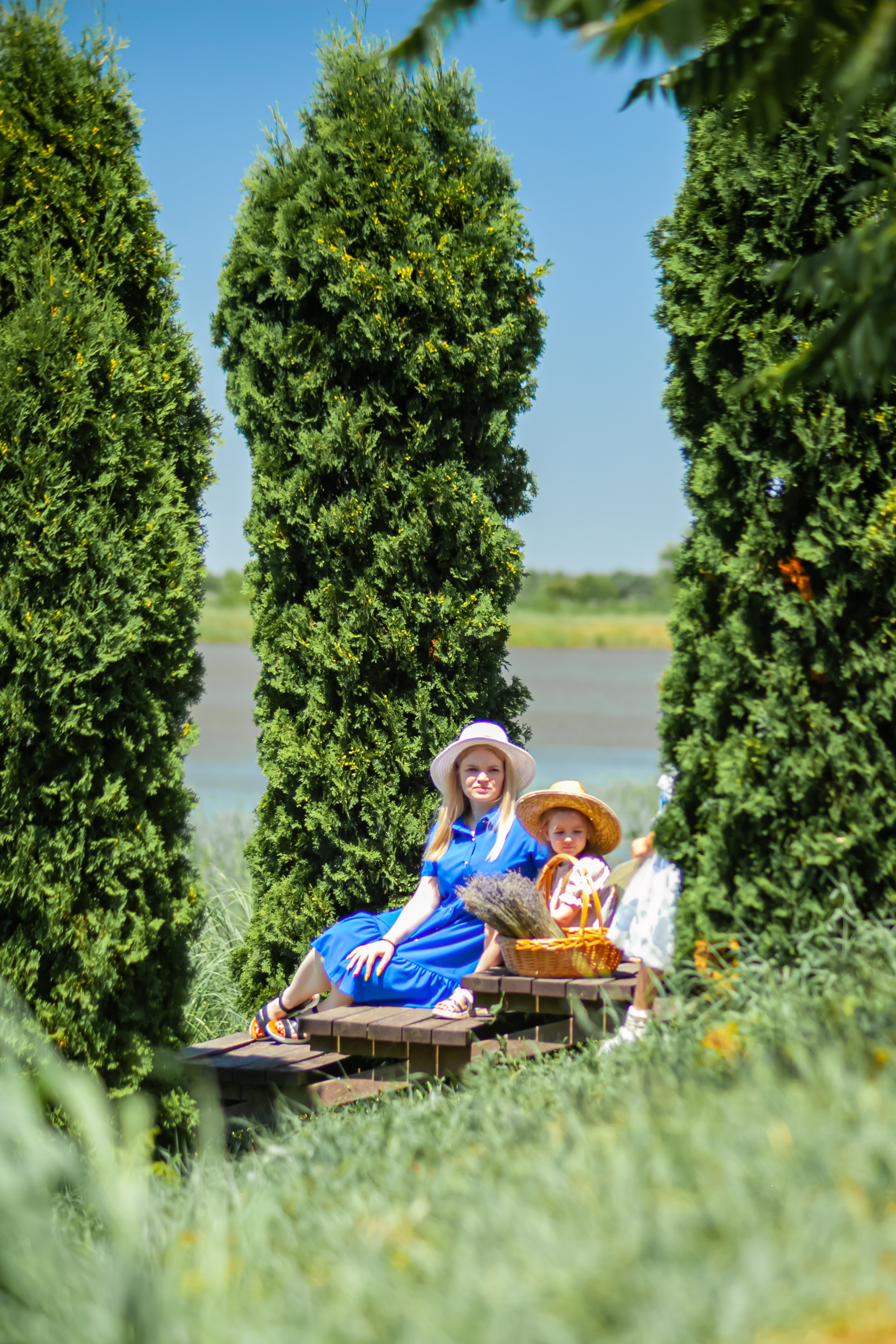 Потрясающая лаванда. Свадебный и семейный фотограф в Армавире