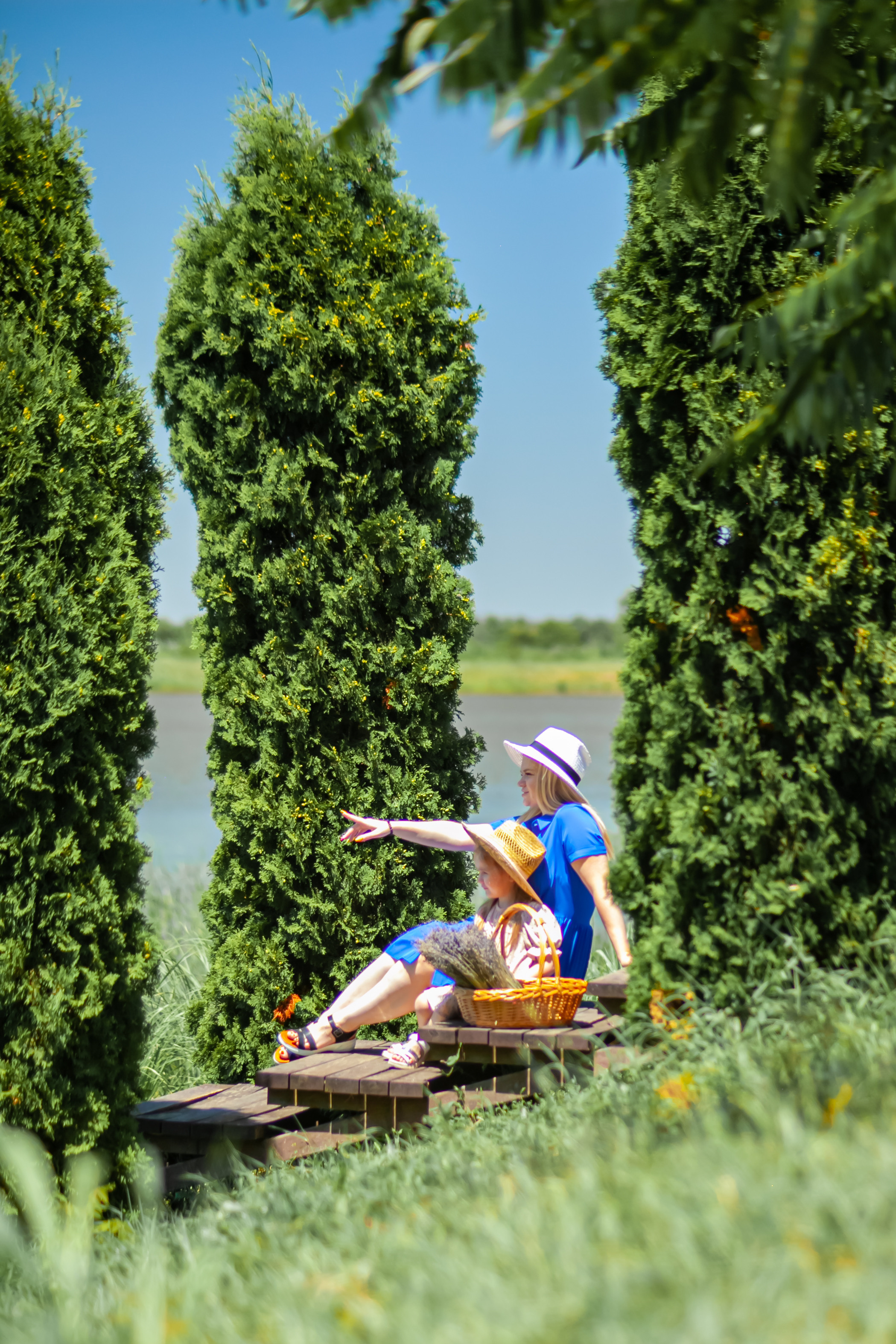 Потрясающая лаванда. Свадебный и семейный фотограф в Армавире