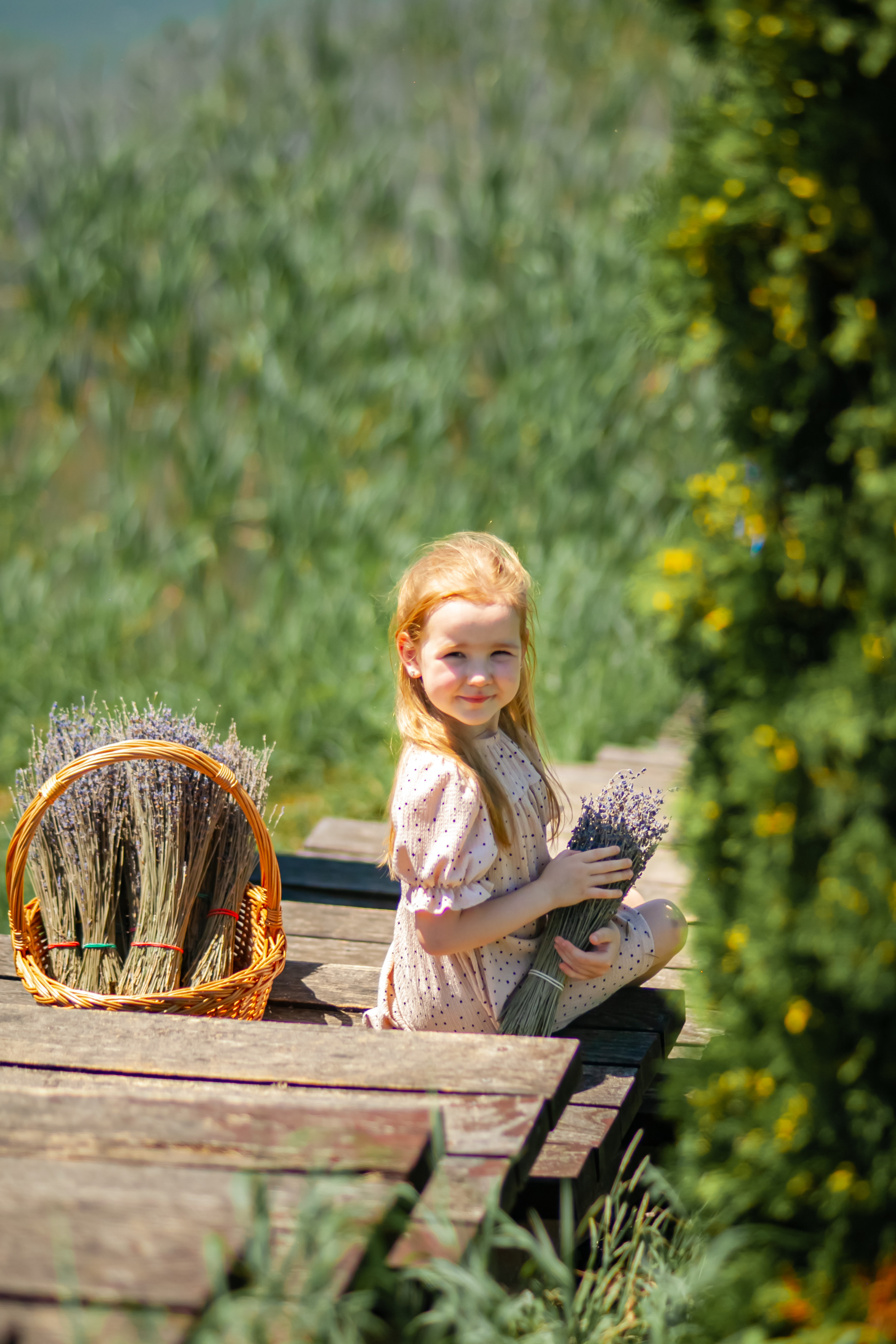 Потрясающая лаванда. Свадебный и семейный фотограф в Армавире
