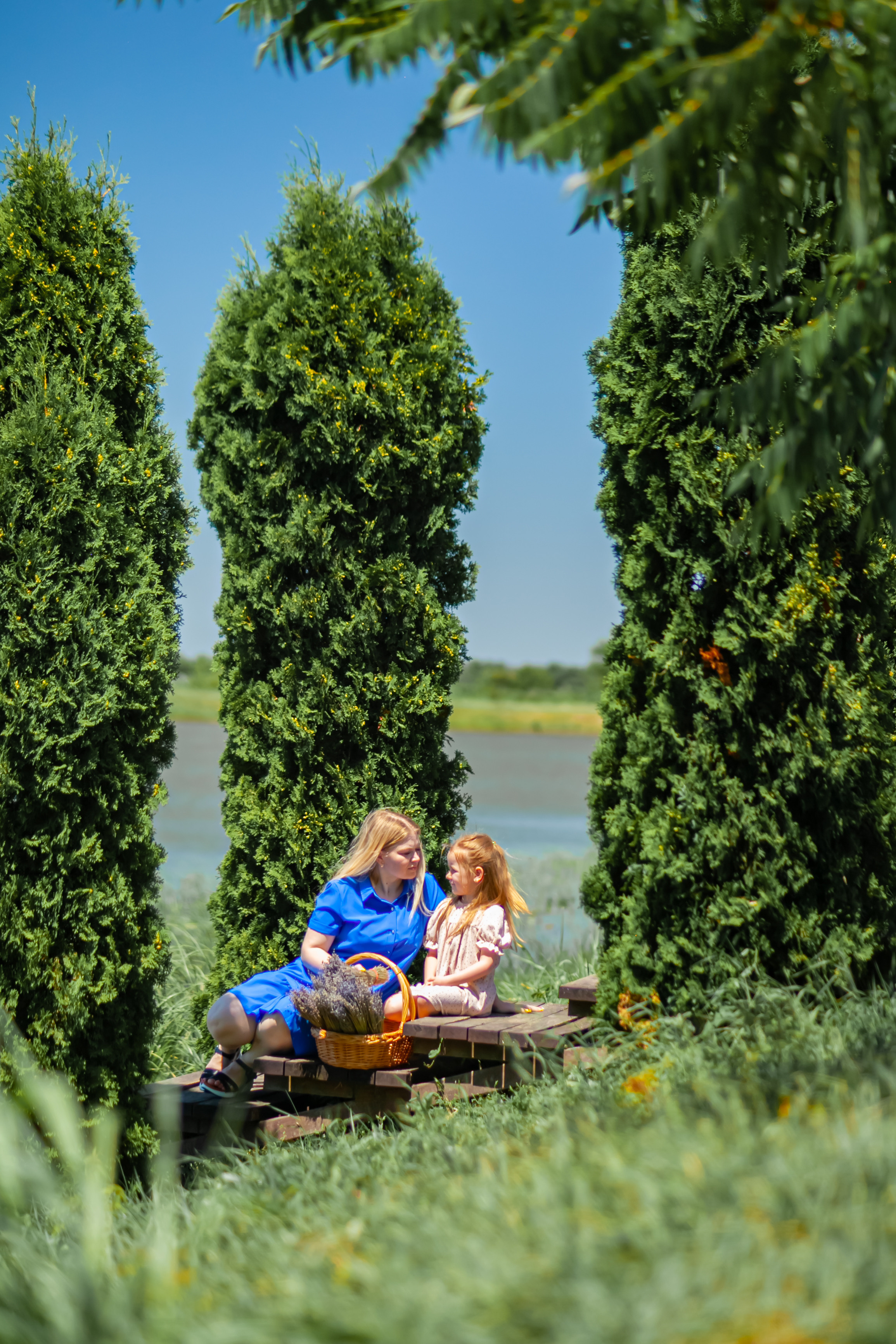 Потрясающая лаванда. Свадебный и семейный фотограф в Армавире