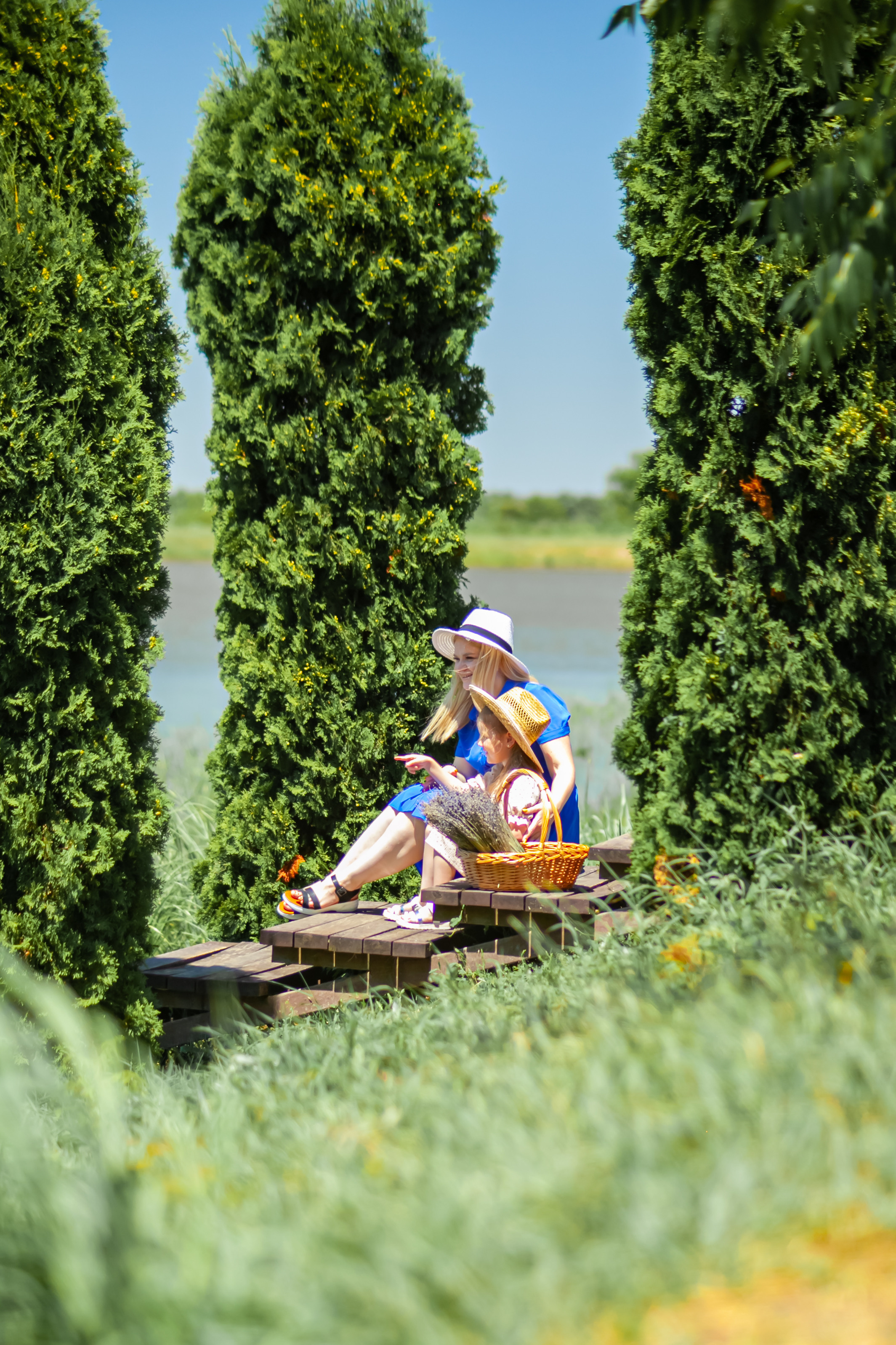 Потрясающая лаванда. Свадебный и семейный фотограф в Армавире