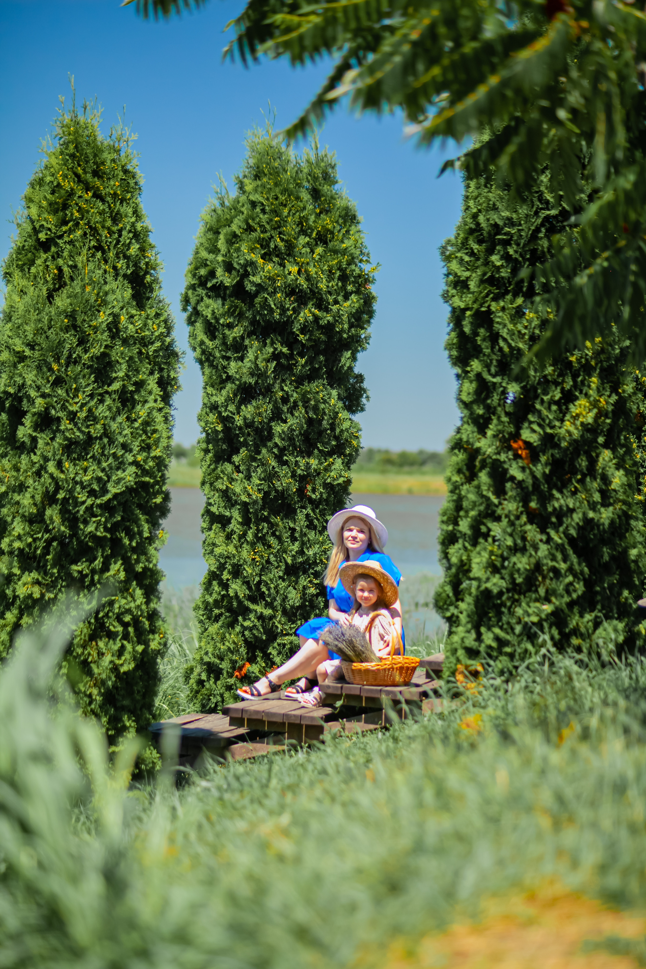 Потрясающая лаванда. Свадебный и семейный фотограф в Армавире