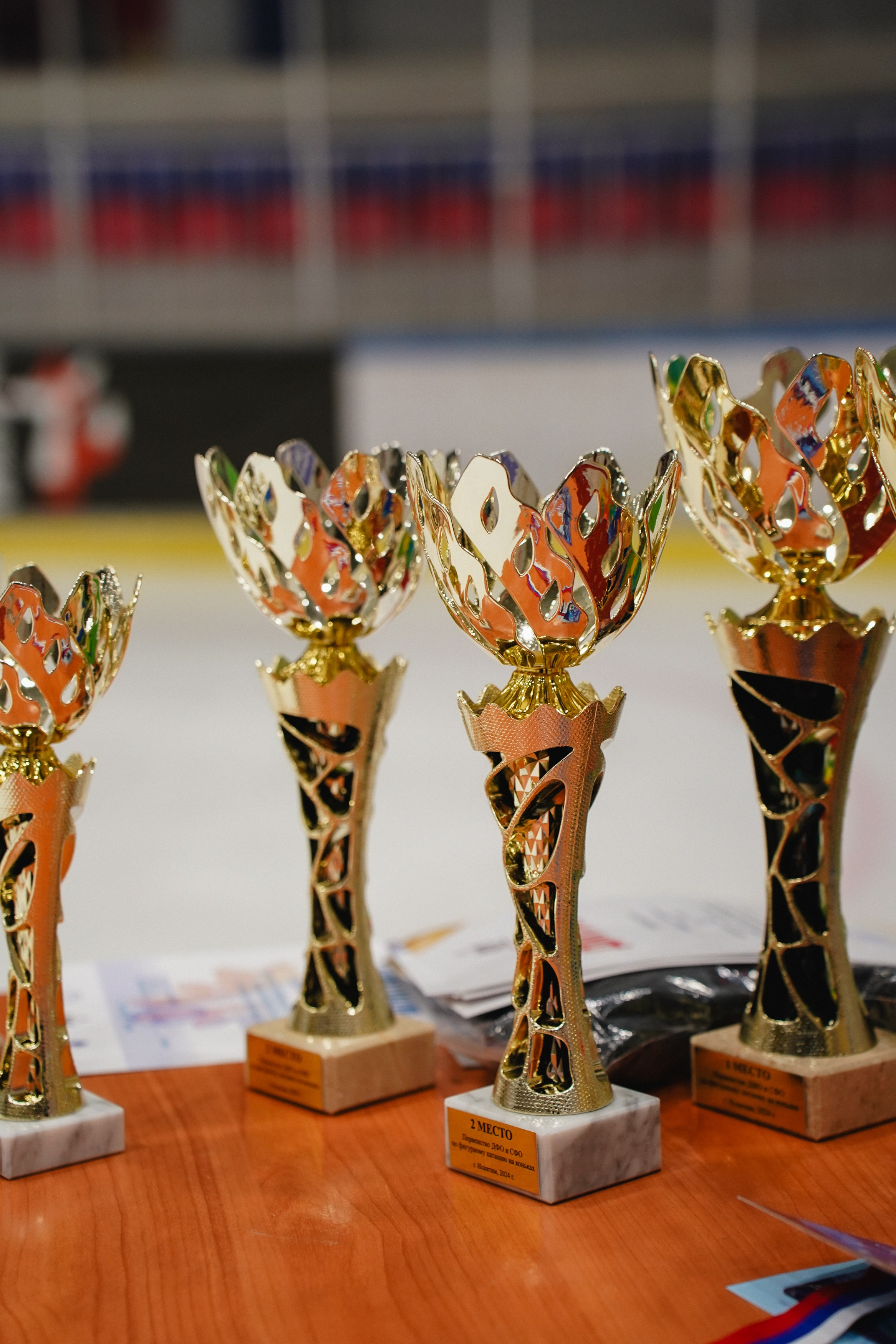 Первенство ДФО и СФО по фигурному катанию на коньках г. Искитим. Воробьева Ксения — Спортивный и танцевальный фотограф Новосибирск