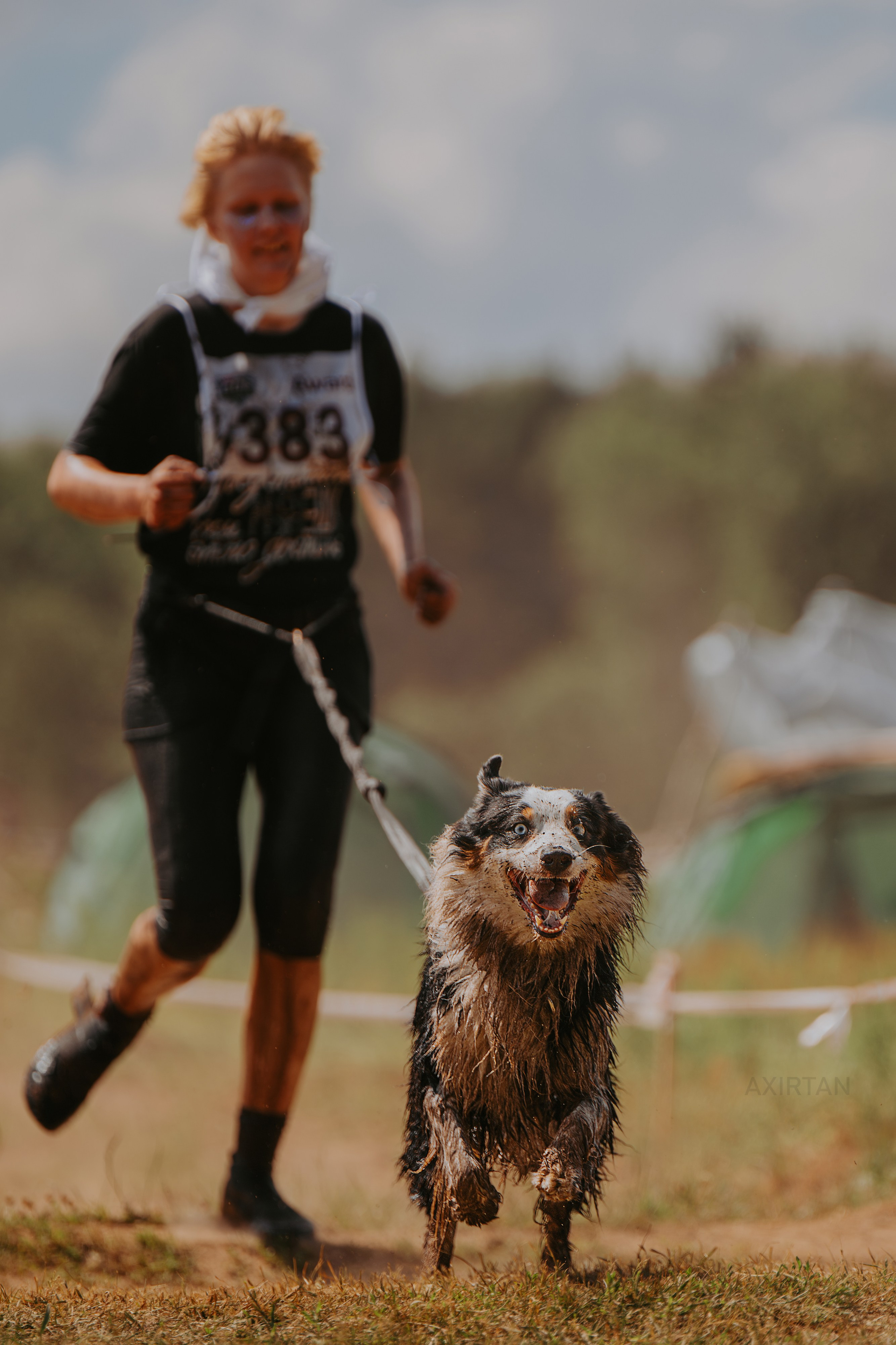 Гелий. BLGKV питомник собак