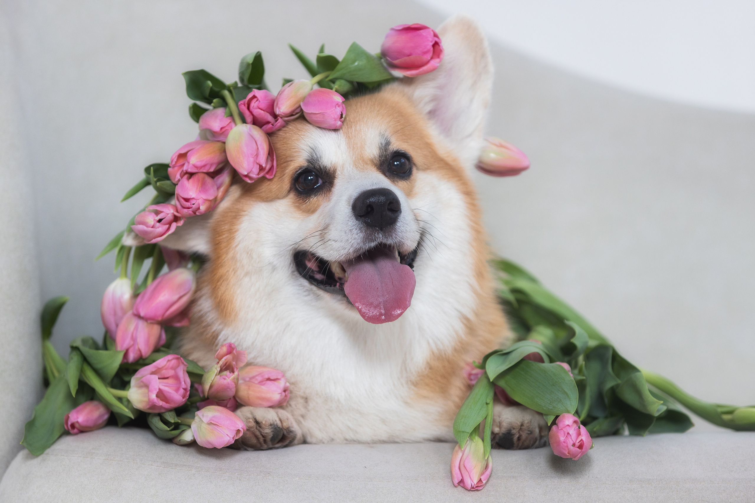 Фотограф Алена Звездина