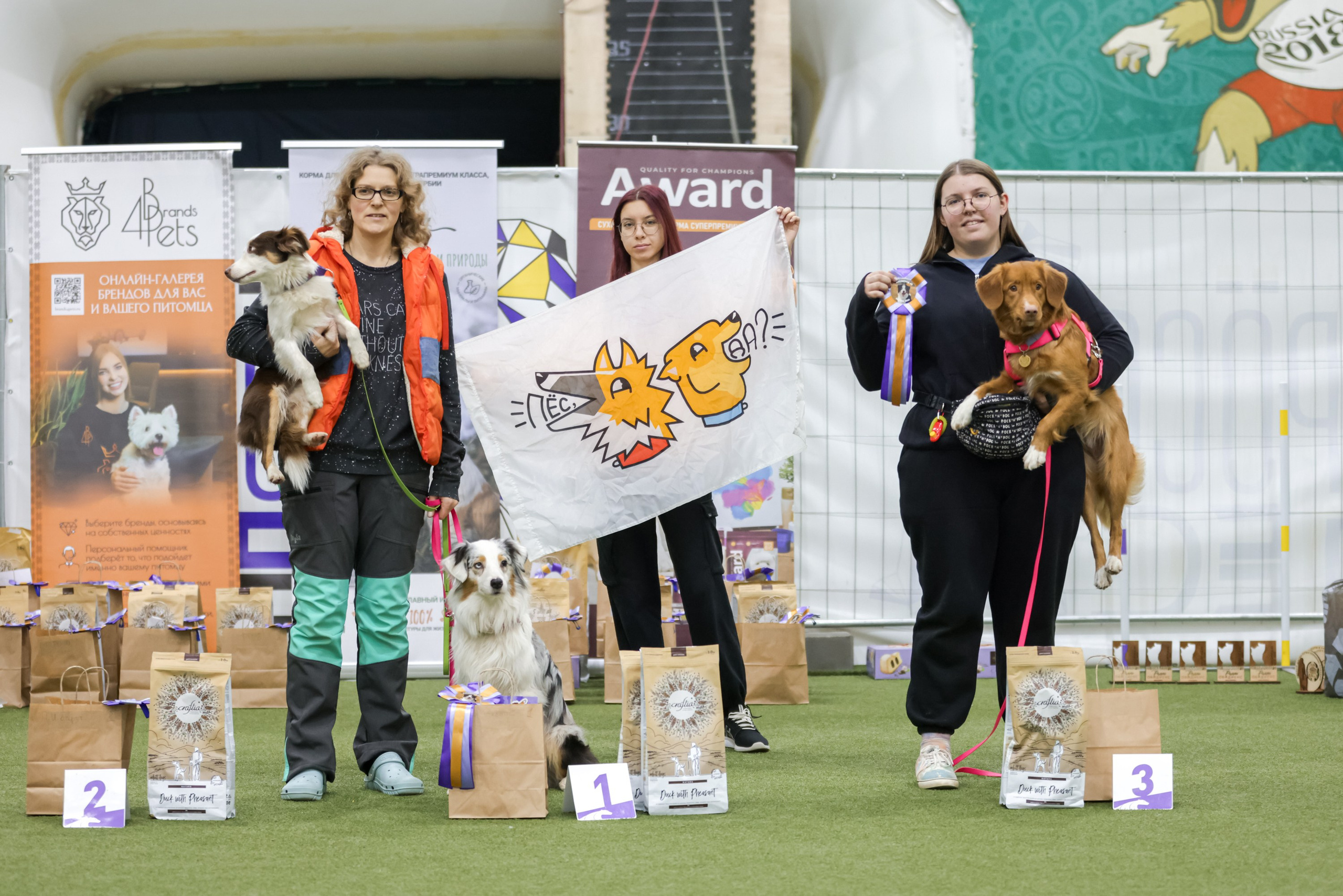 Кайса. BLGKV питомник собак