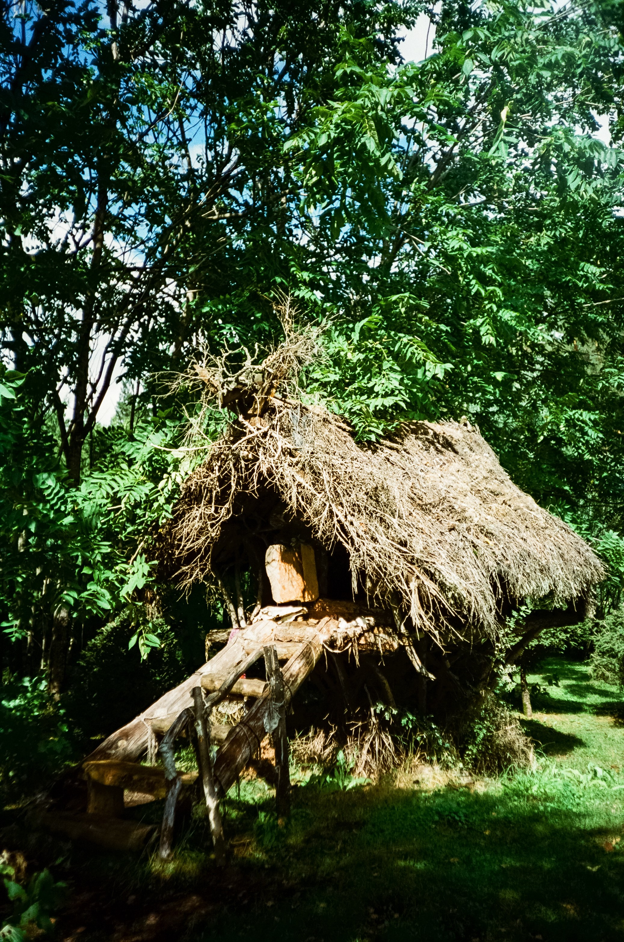 Ботанический сад в солнечный день. Фотограф-документалист Мария Осокина