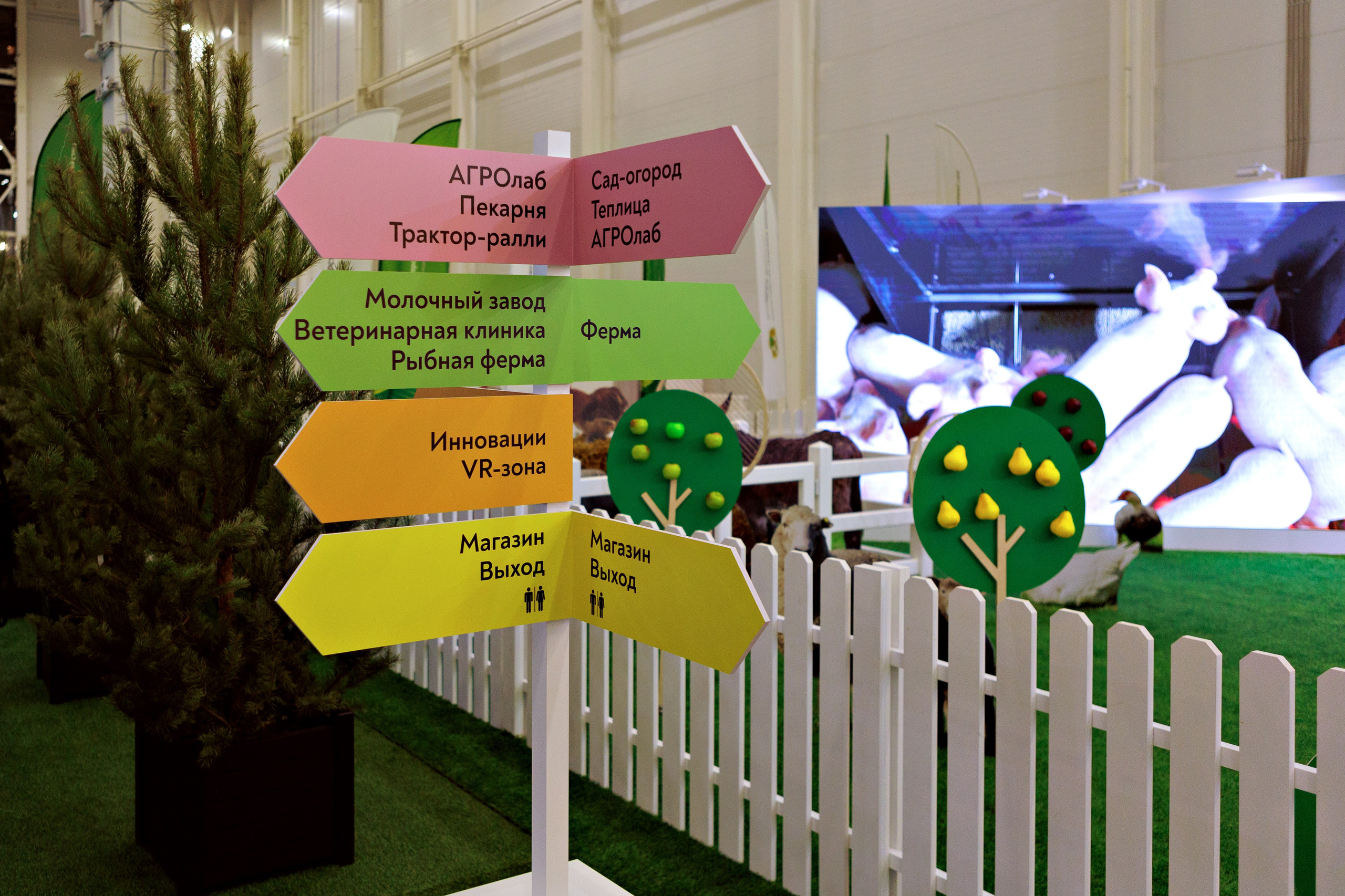 Город профессий АПК «Я В АГРО». Выпускные альбомы и школьный фотограф в Подольске, Троицке, Щербинке, Москве и Московской области