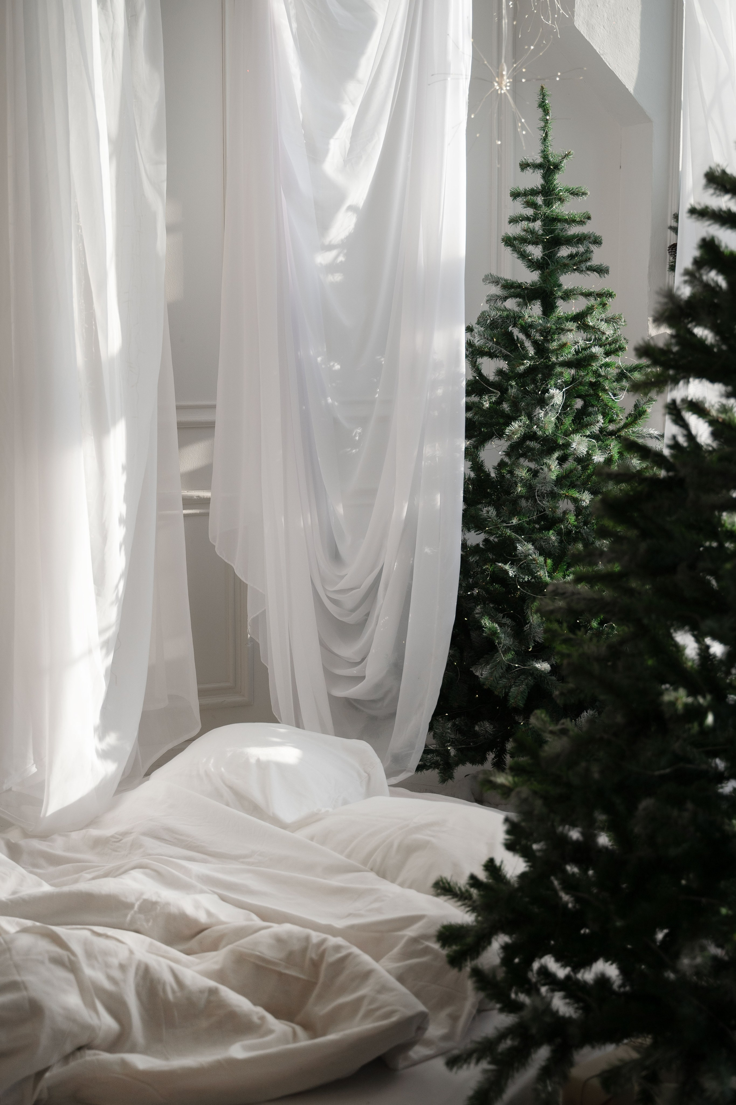 Фотостудия. Фотограф Вера Зверуго в Орле