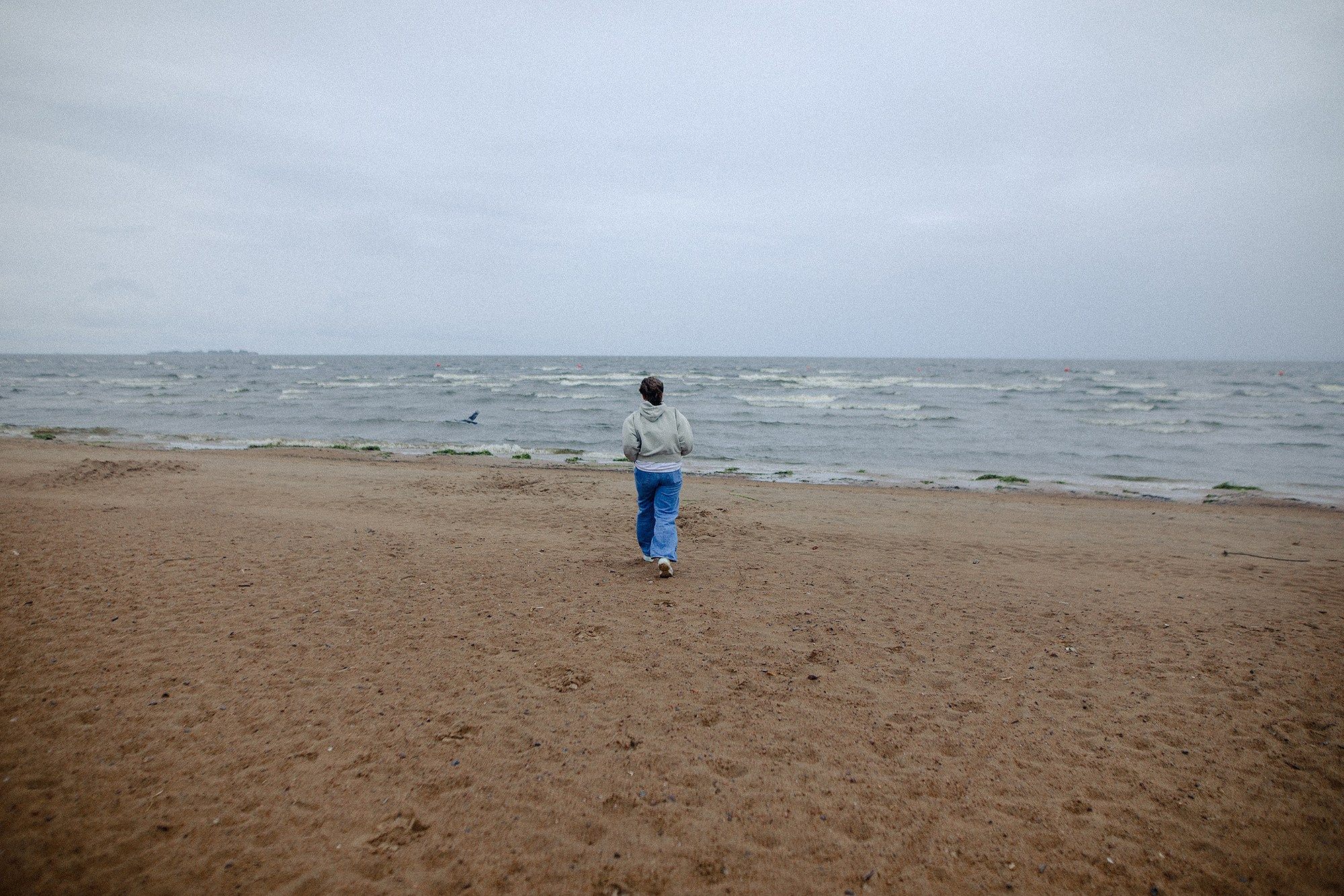 Фотограф-анималист Mary Mart — Москва, Питер