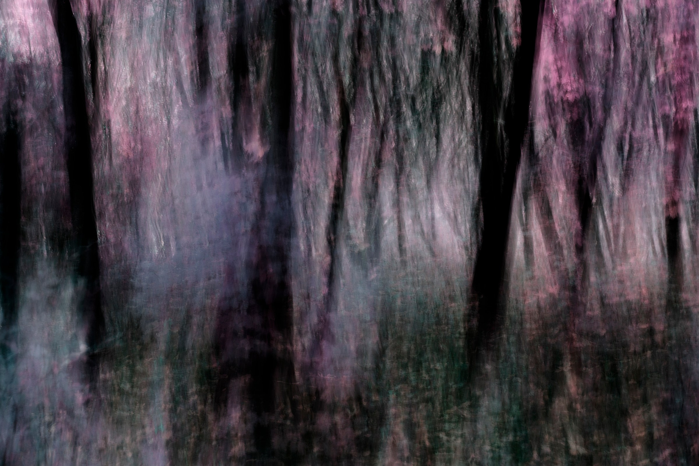 Walks in the Forest. Vasiliy Riabovol — Fine Art Photographer | Time, Space, and Silence