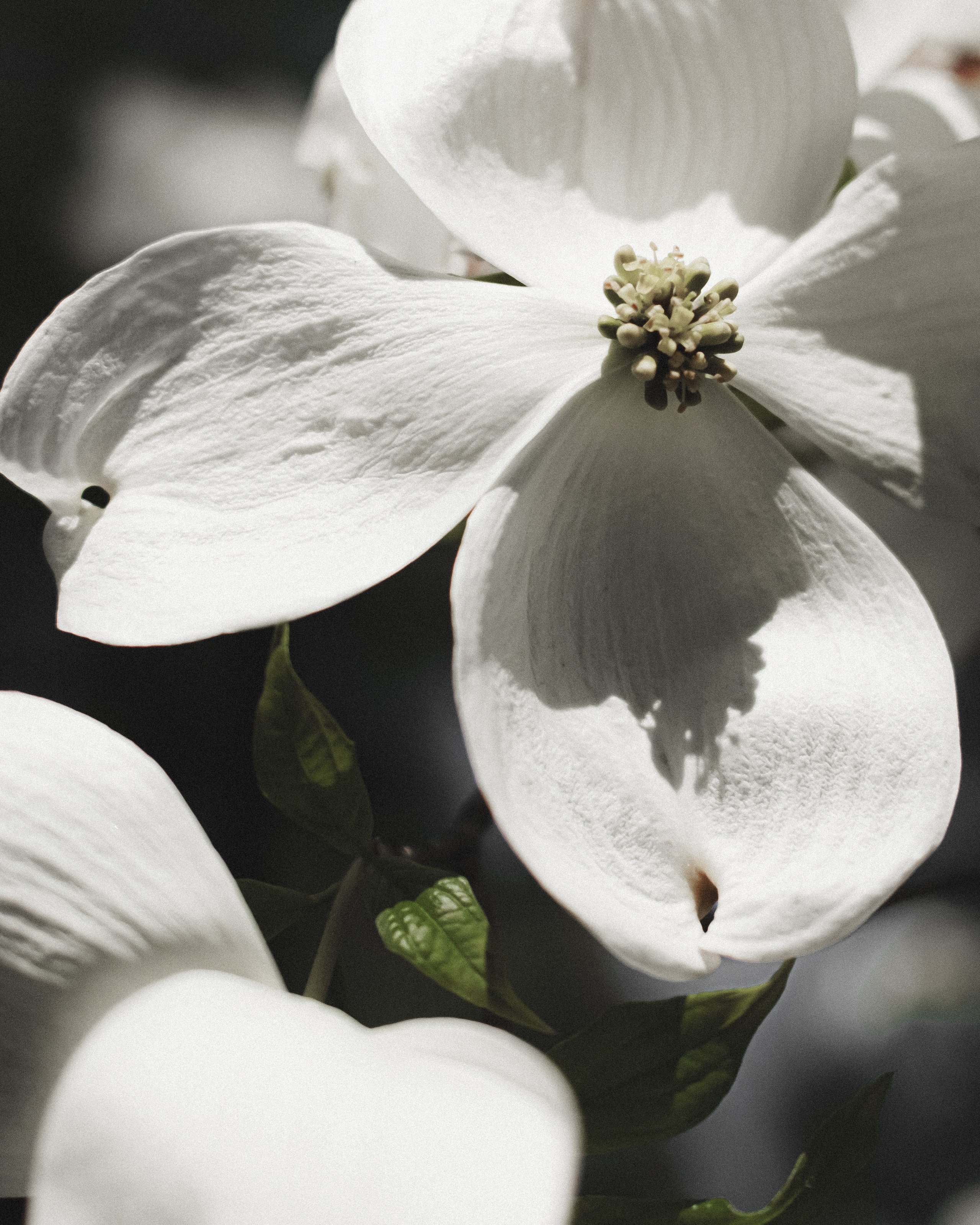 СЕРГЕЙ РОСАК | ФОТОГРАФ & ВИДЕОГРАФ • СОЧИ