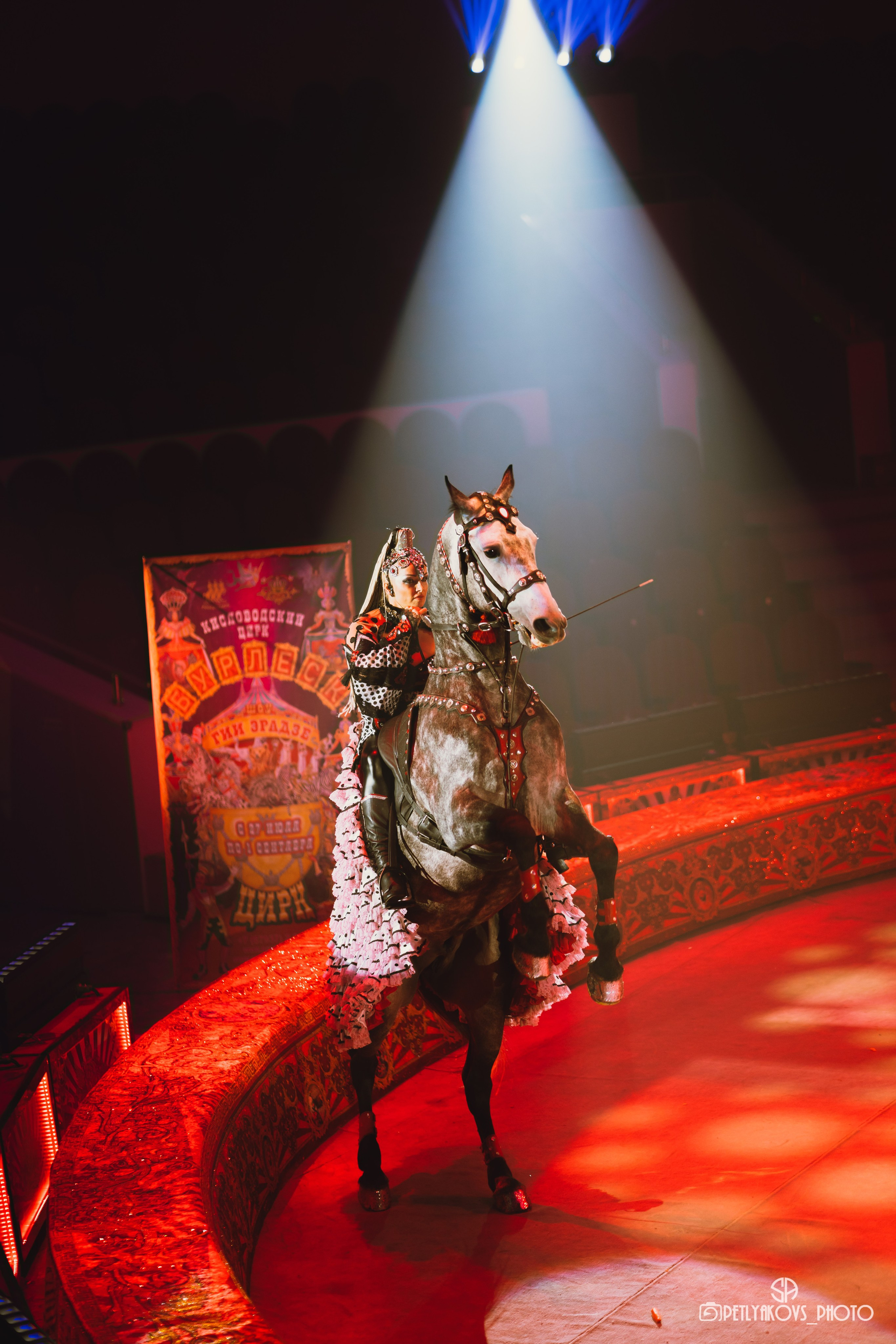 Пресс-конференция циркового шоу Гии Эрадзе «Бурлеск» (репортаж). Фотограф, видеограф Пятигорск, Ставрополь, Ессентуки, Petlyakovs_photo