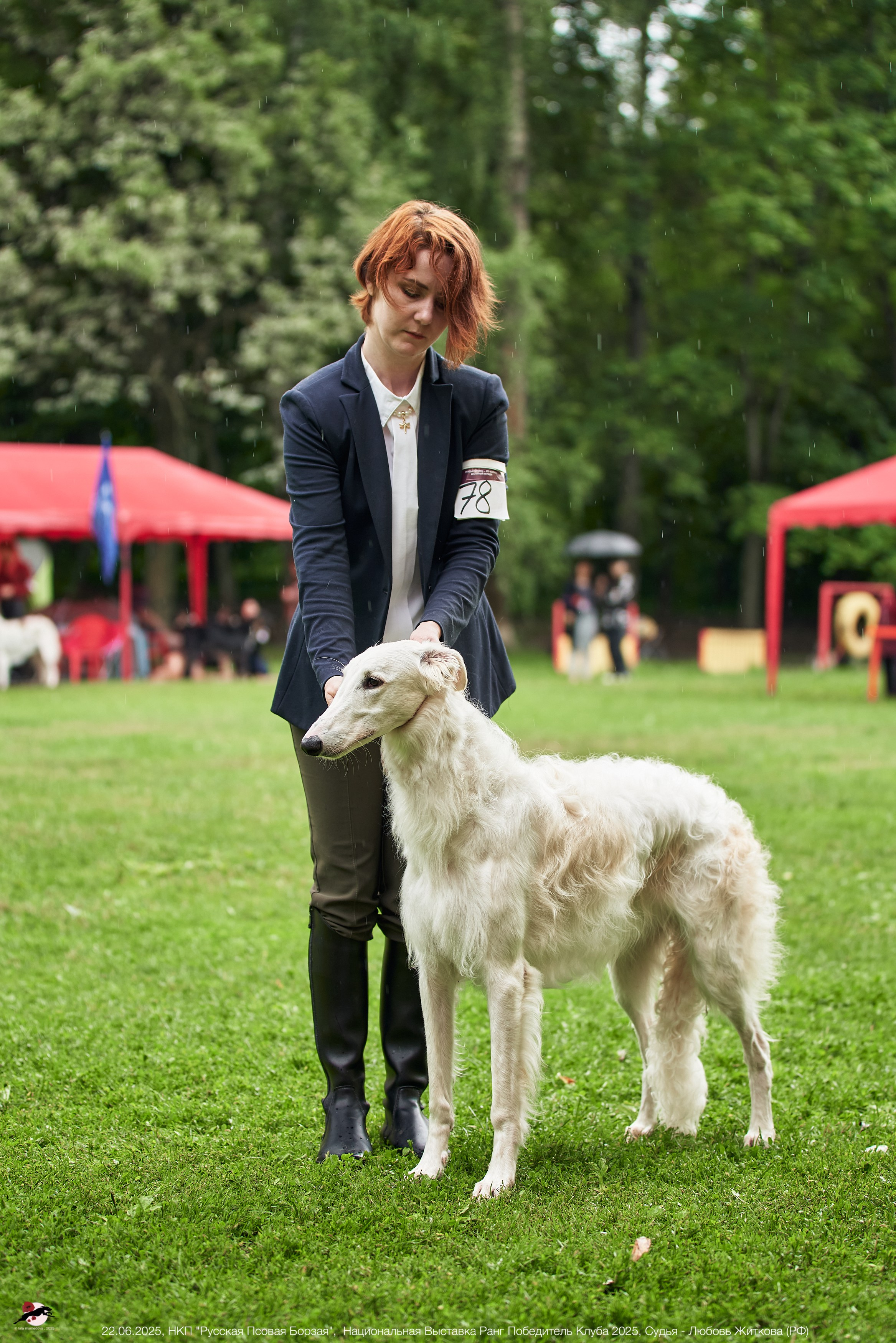 22.06.2025 | Национальная Выставка НКП "Русская Псовая Борзая"
