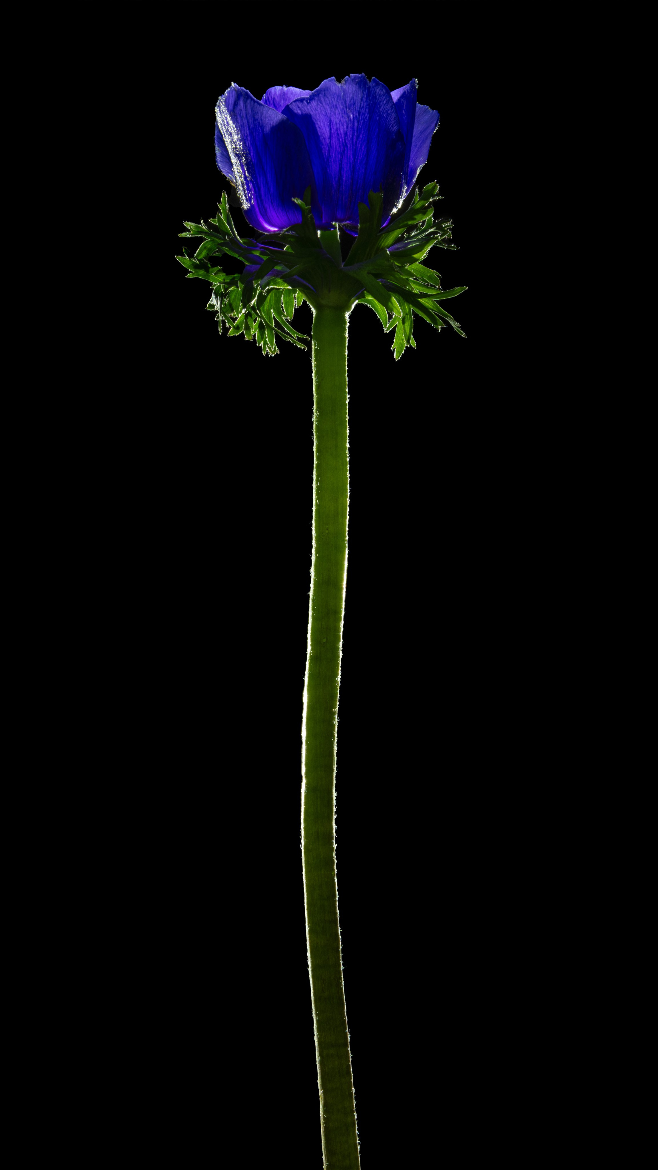 Проекты. Sakunov Photo