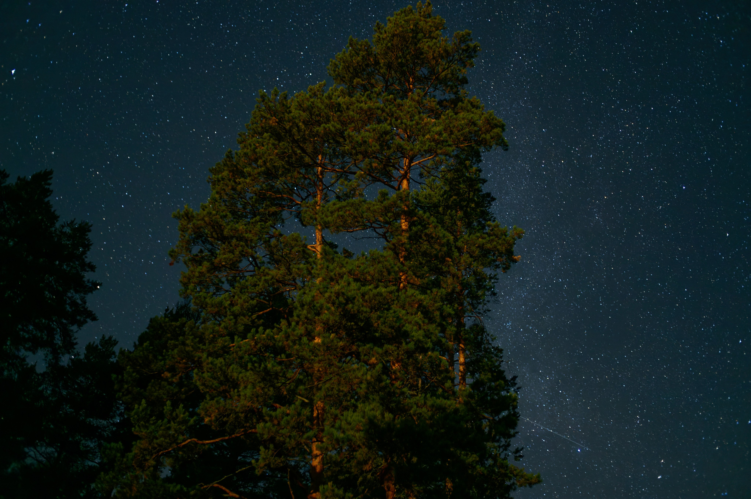 Лучший фотограф без диплома Дима Берников