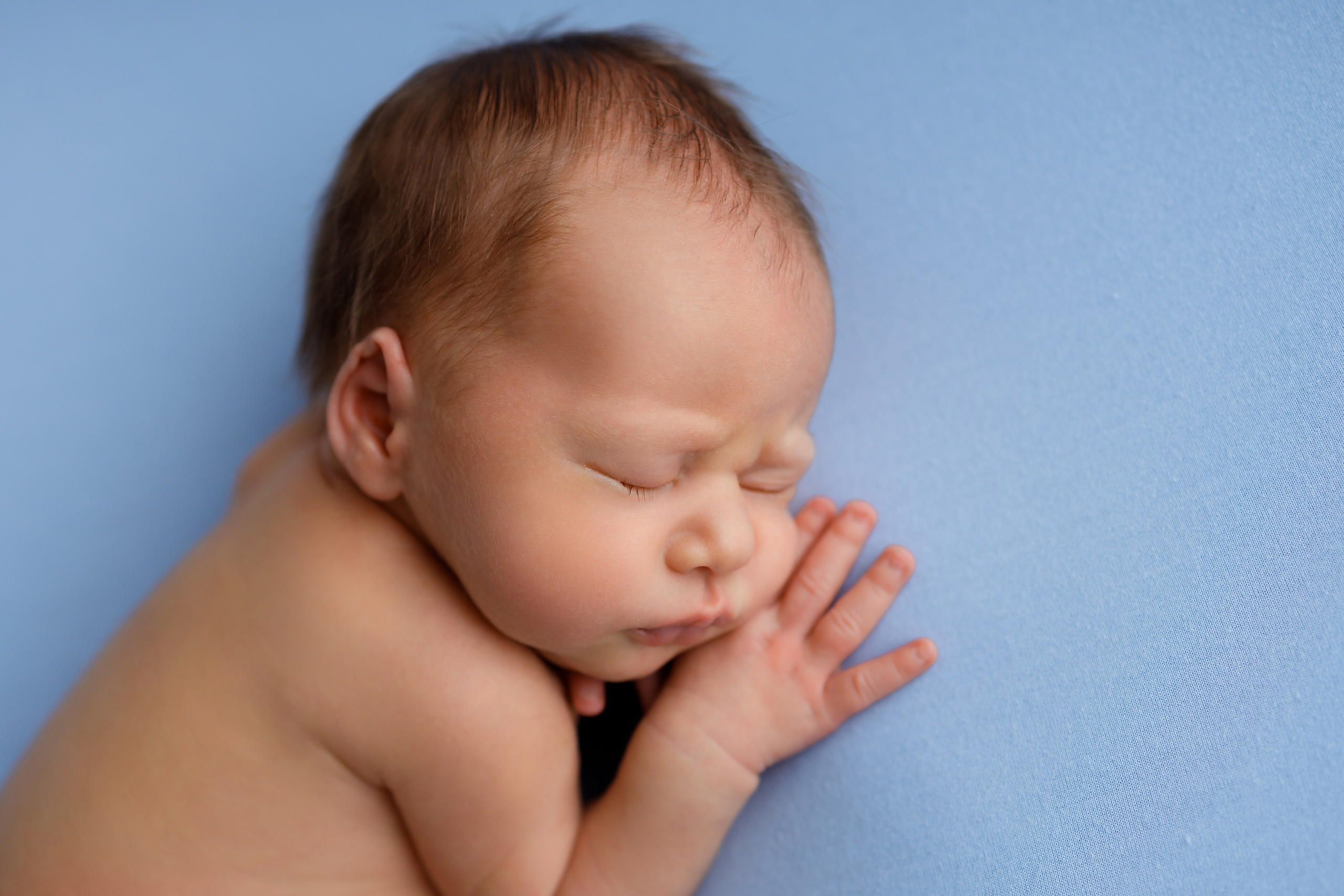 Ньюборн. Яна Кром Фотограф ньюборн в Москве