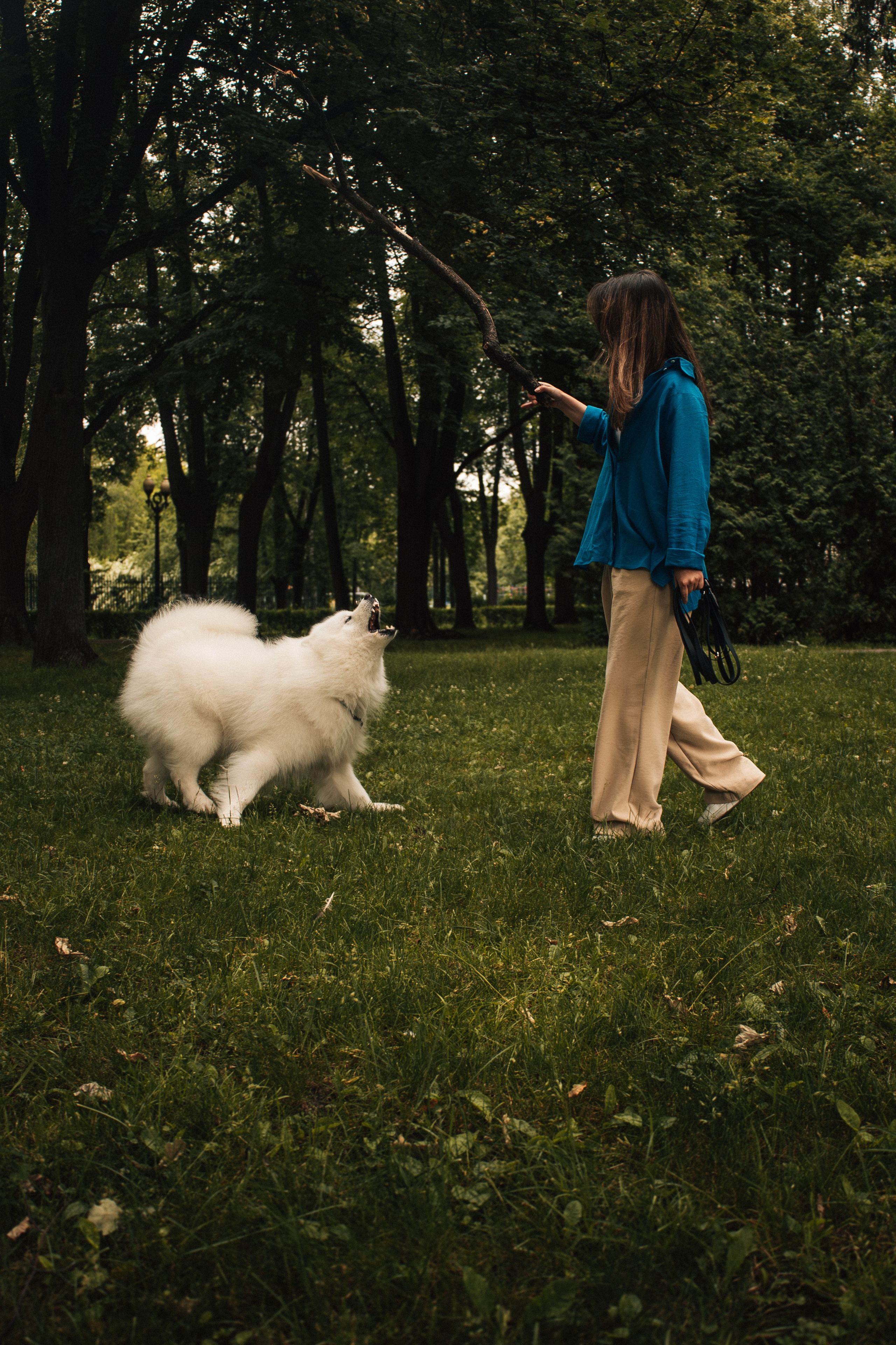Прогулочная фотосессия с собакой. Фотограф-анималист в Москве Екатерина Тихонова