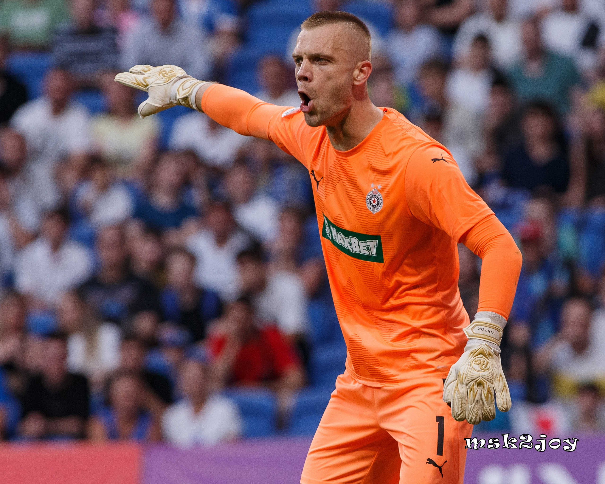 Фоторепортаж. ФК Динамо — ФК Партизан. Михаил Тоцкий портретный и репортажный фотограф в Москве