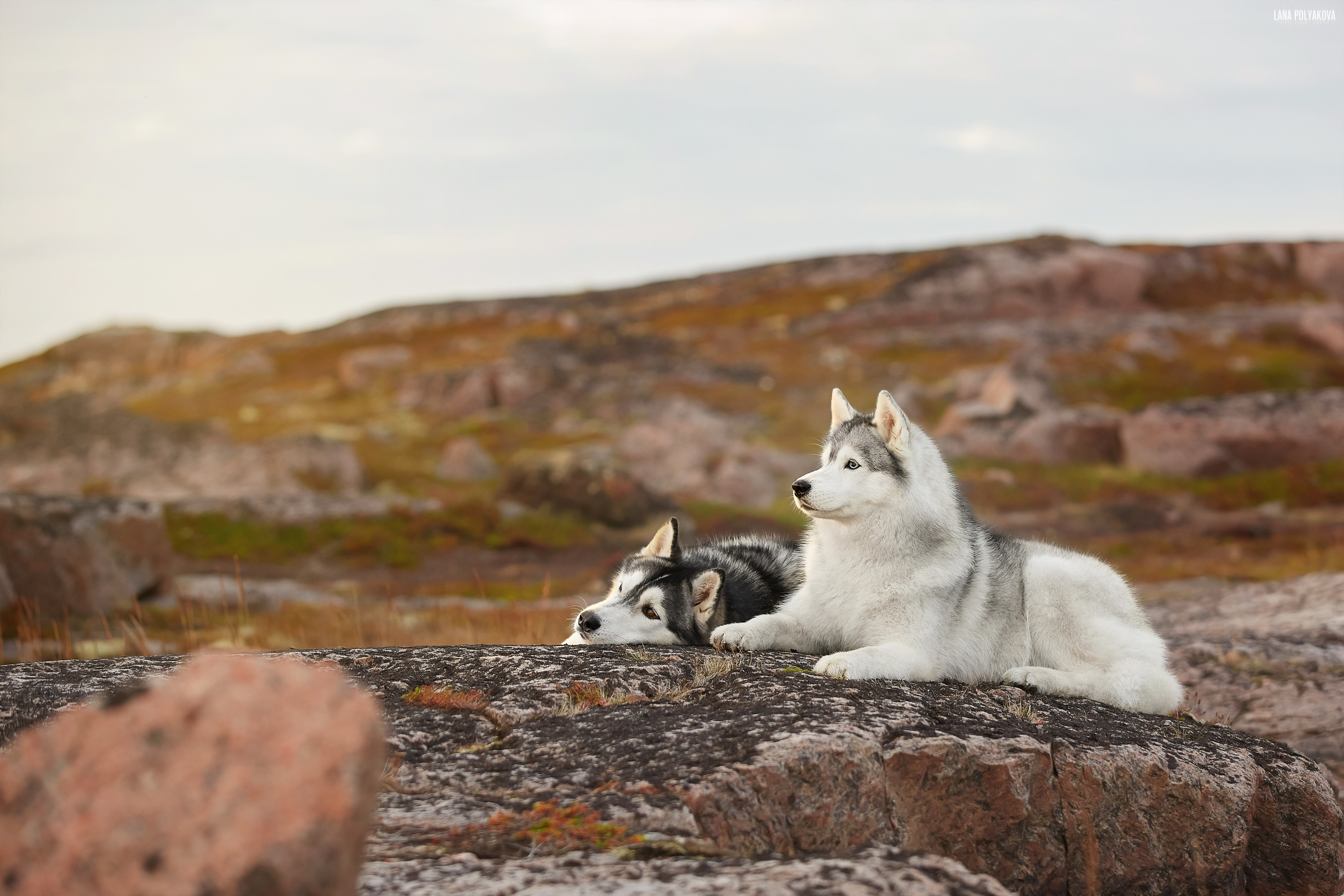 Териберка, 2019