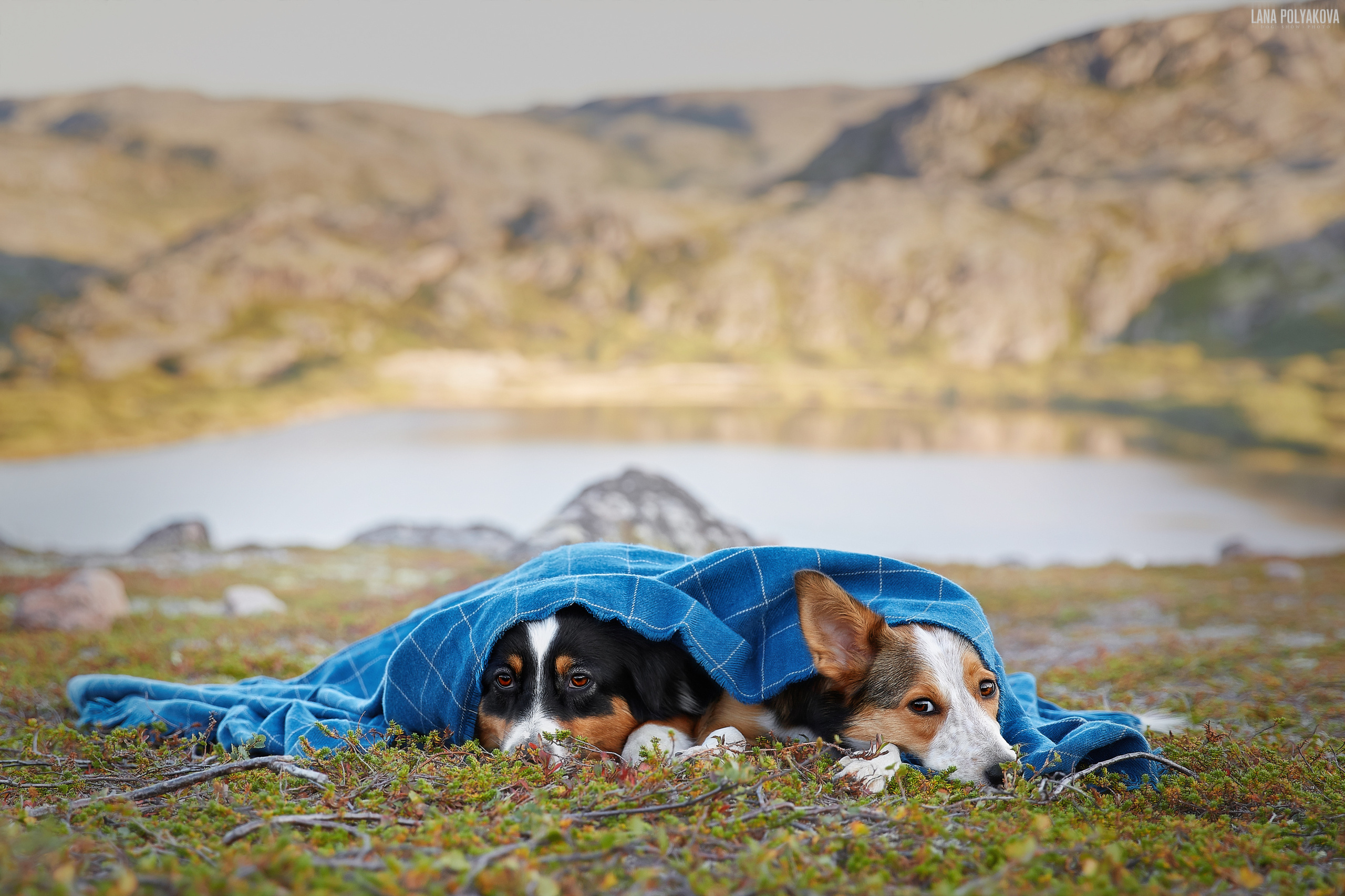 Териберка, 2019