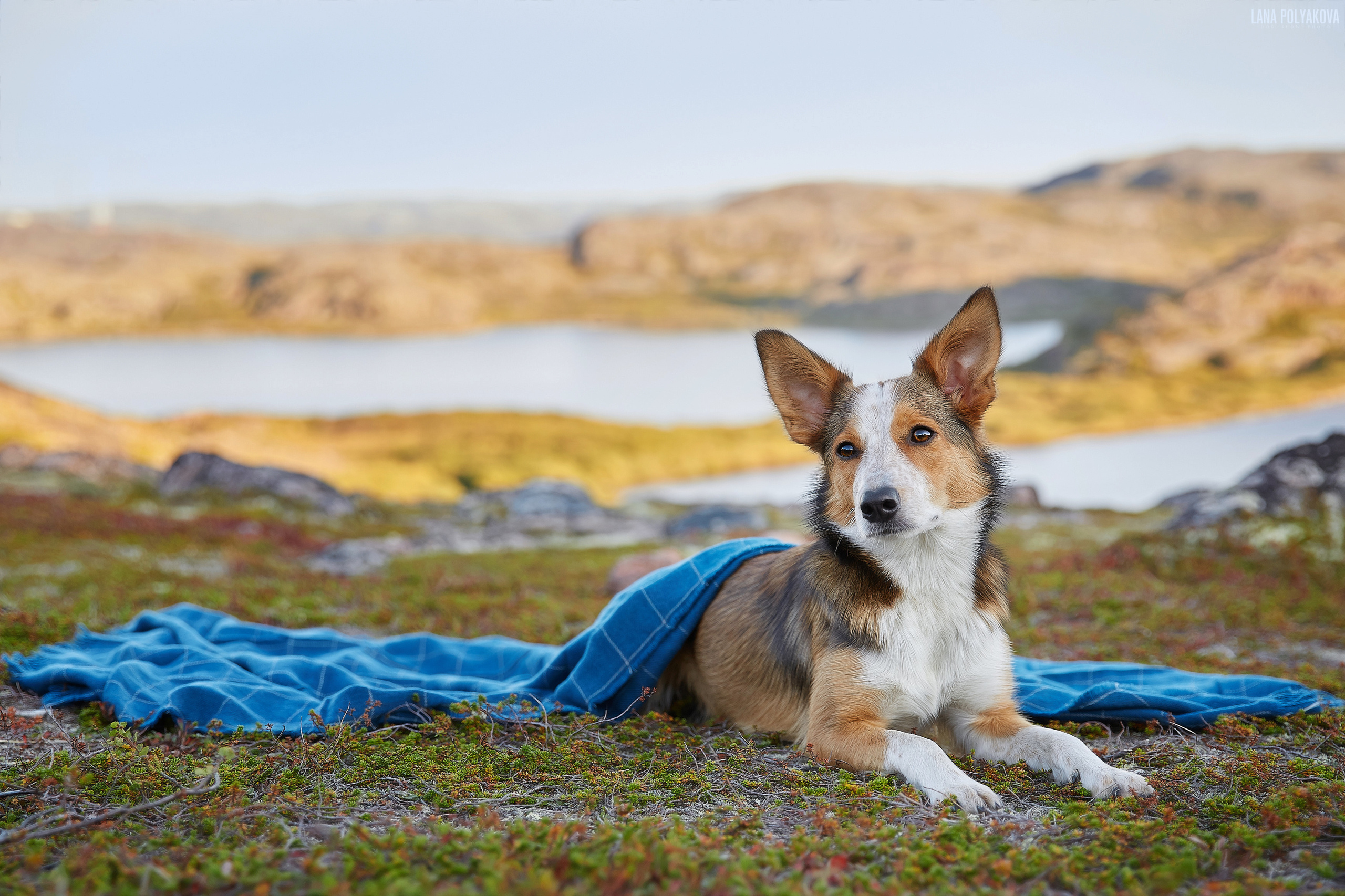 Териберка, 2019