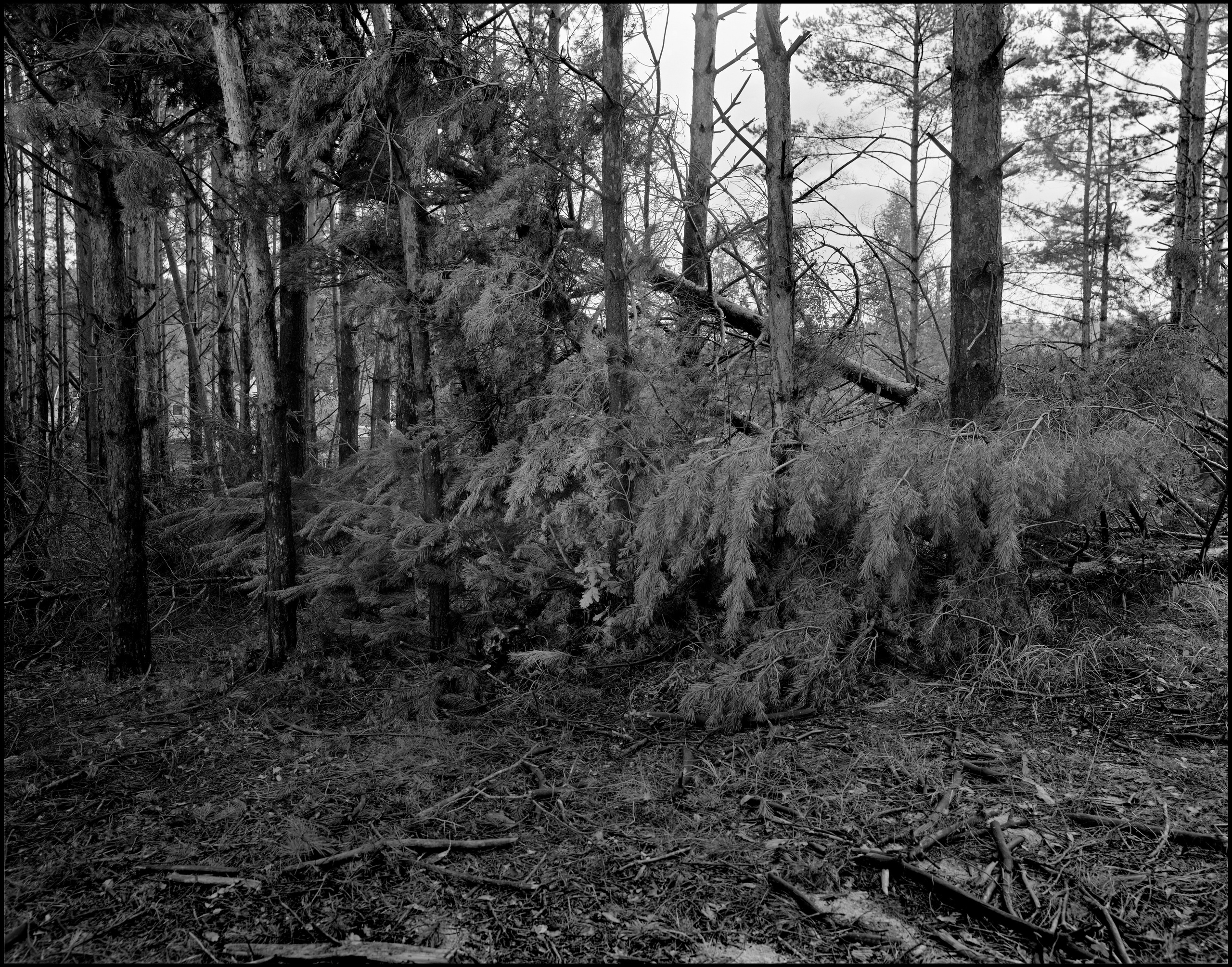 Landscape. Sergey Kondriuk art-photographer | artist