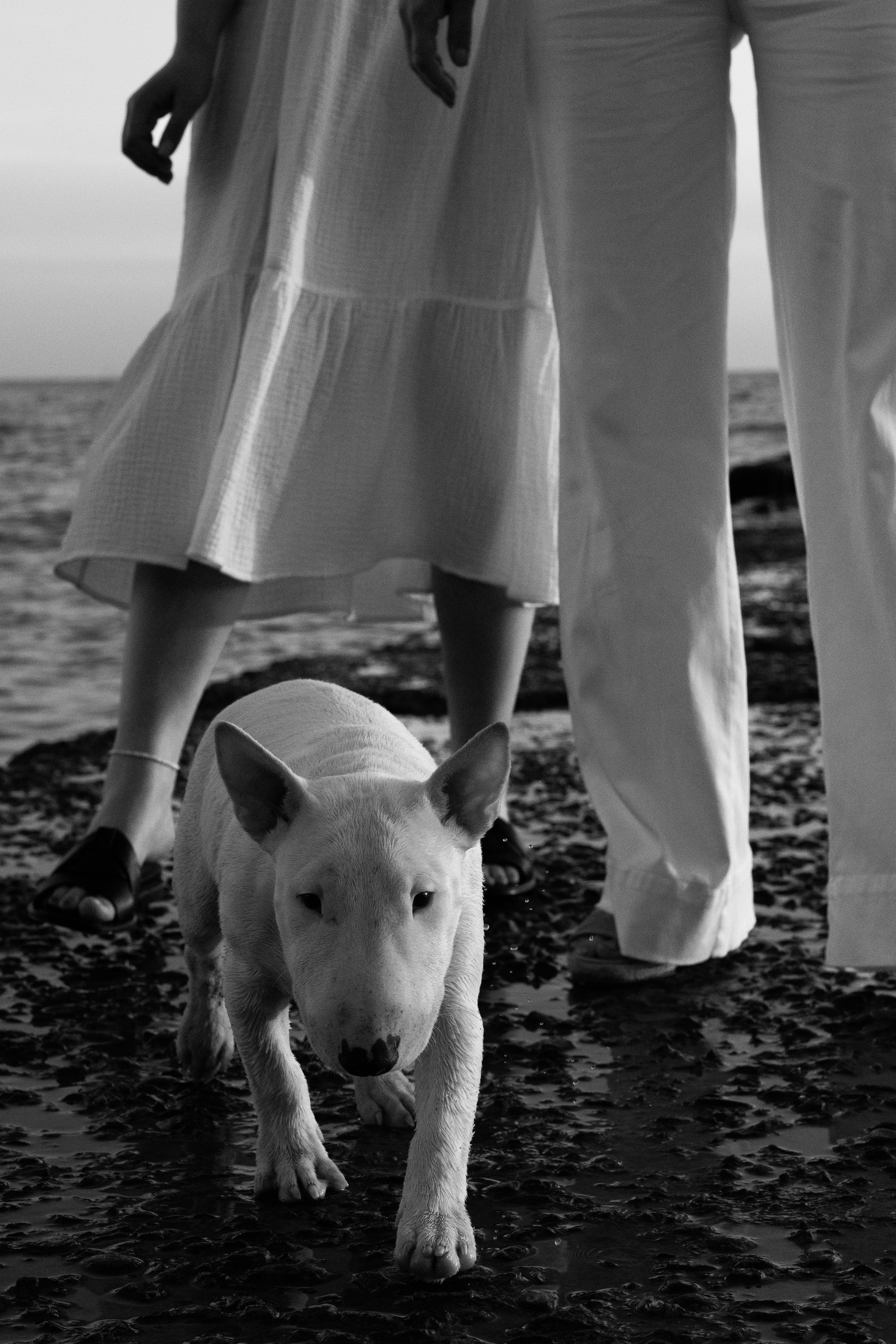 Фотограф Шунова Саша